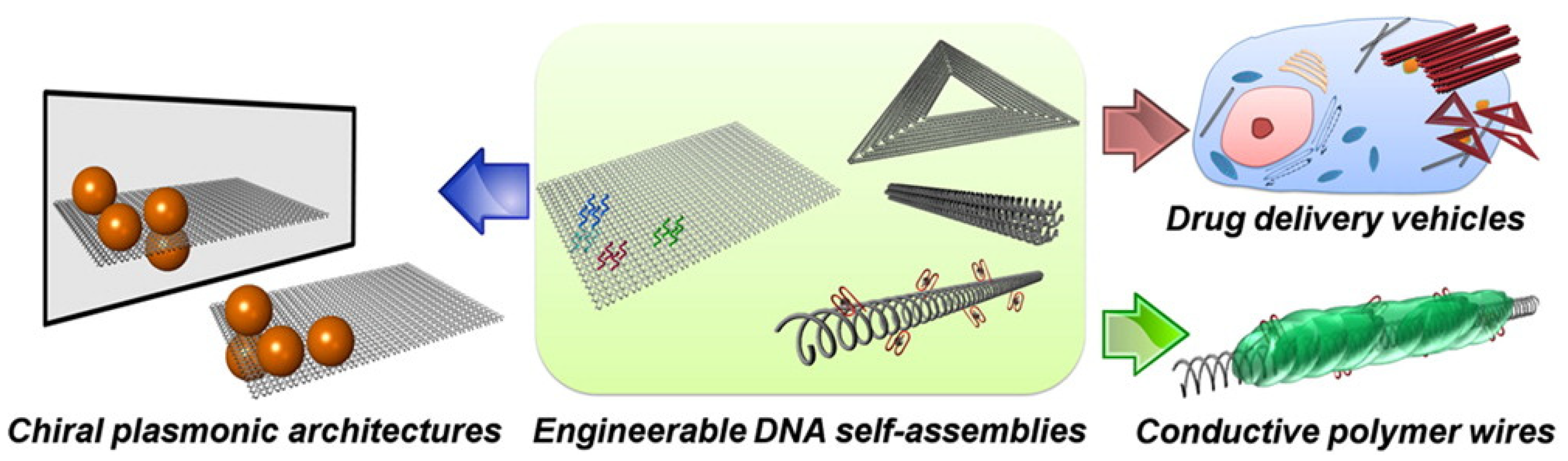 Symmetry 14 00292 g013