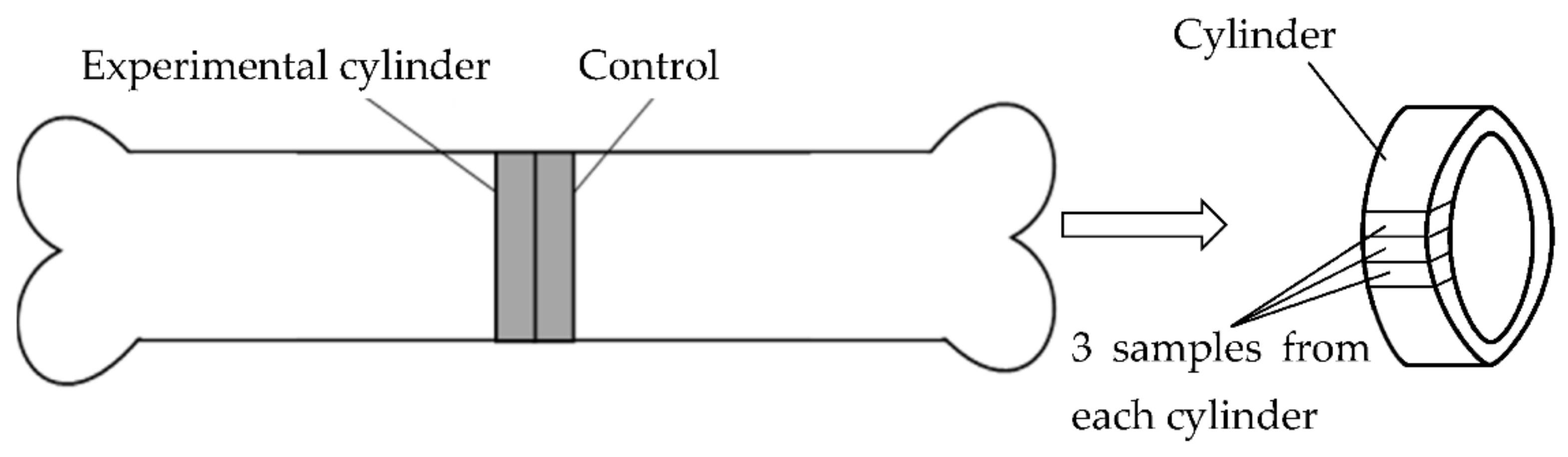 Symmetry 14 00303 g001 Symmetry 14 00303 g001