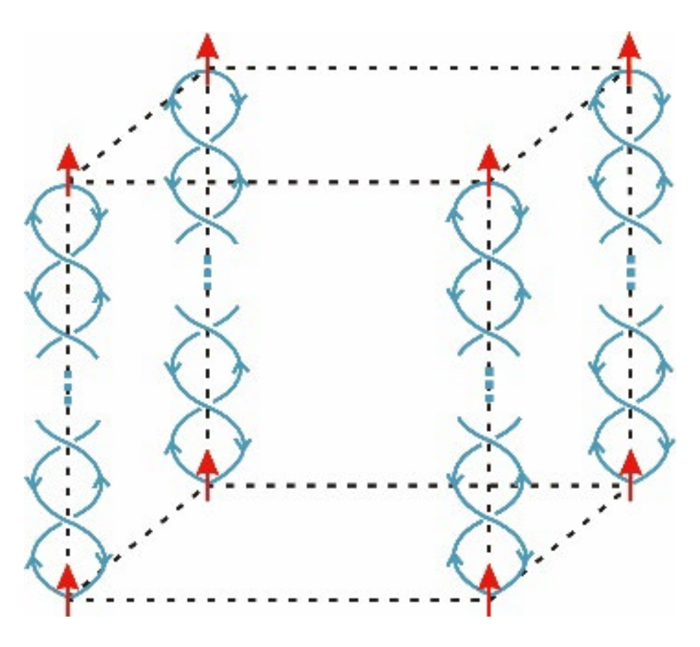 Symmetry 14 00323 g002