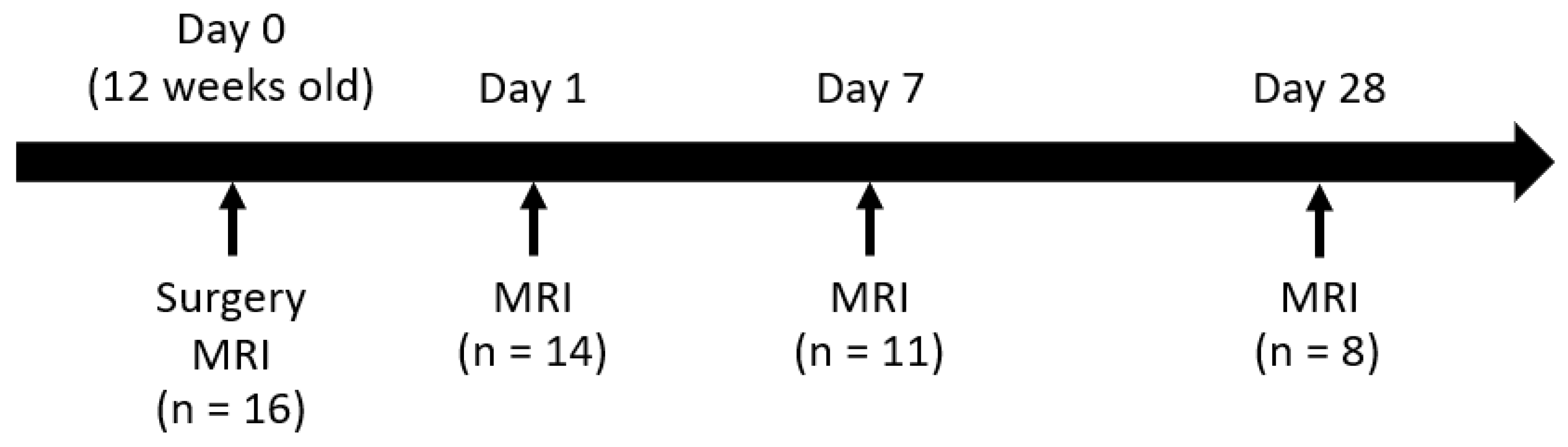 Symmetry 14 00350 g001