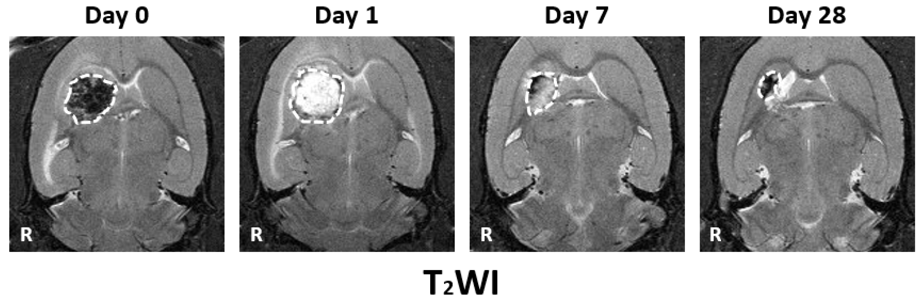 Symmetry 14 00350 g002