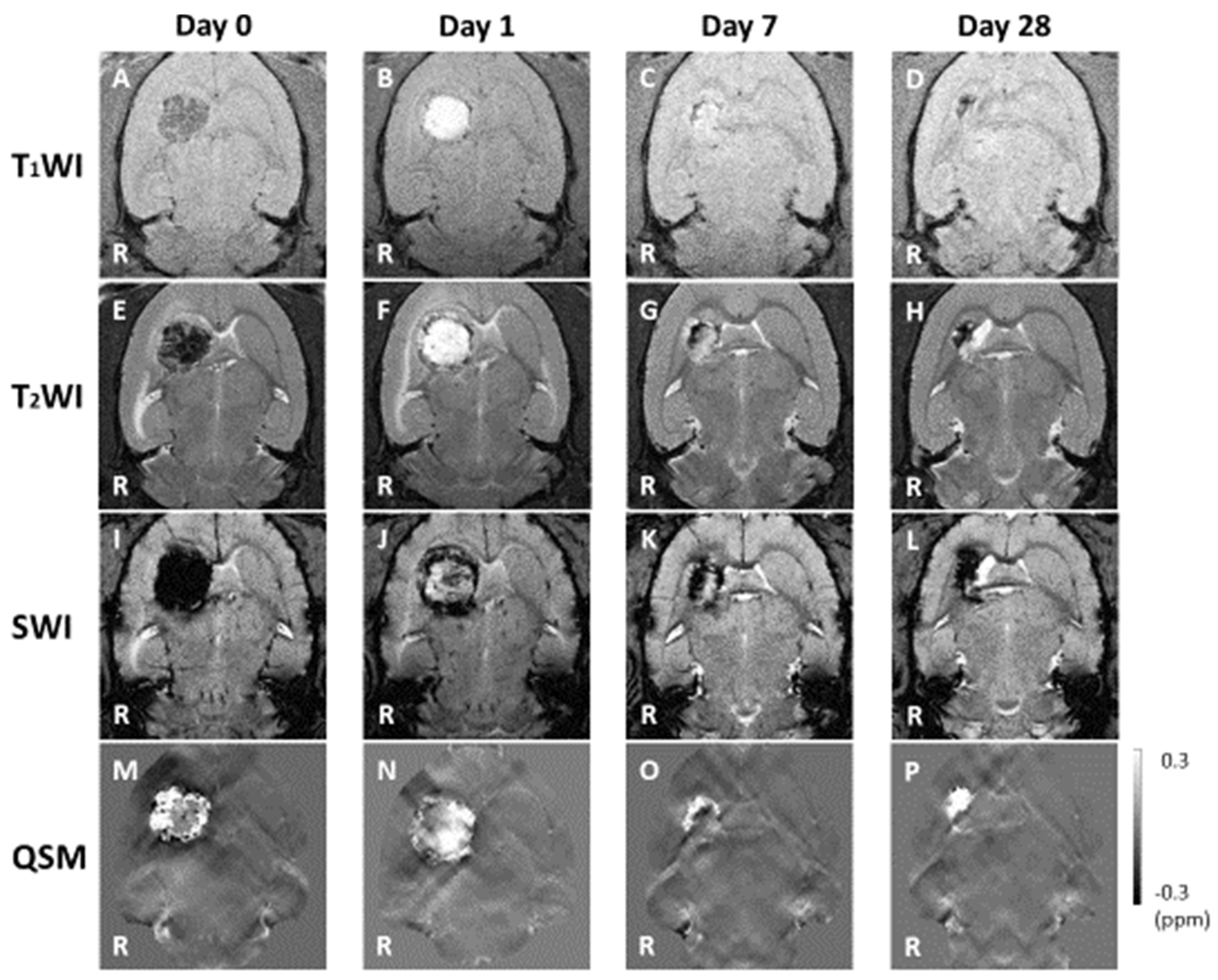 Symmetry 14 00350 g003
