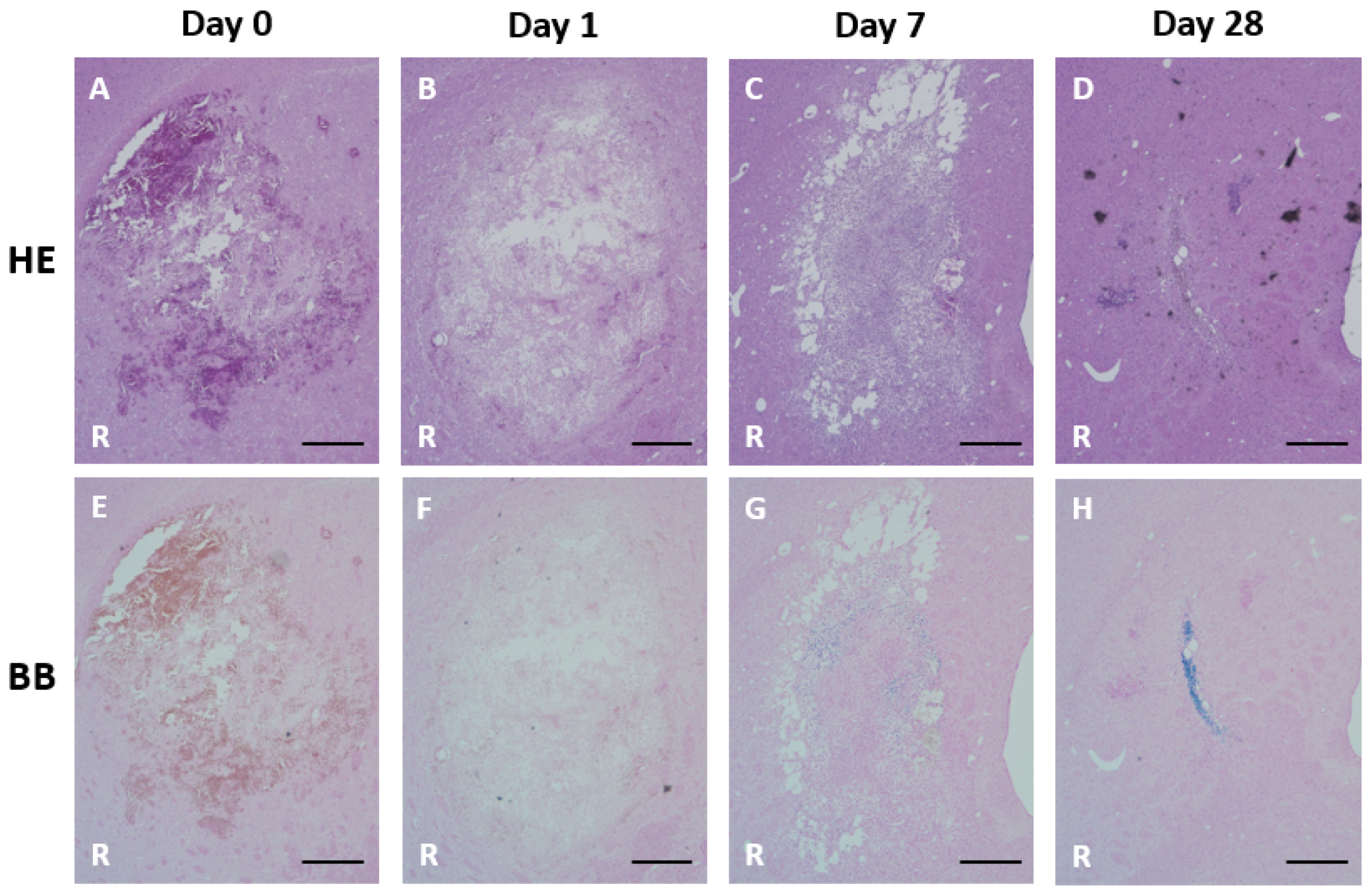 Symmetry 14 00350 g007
