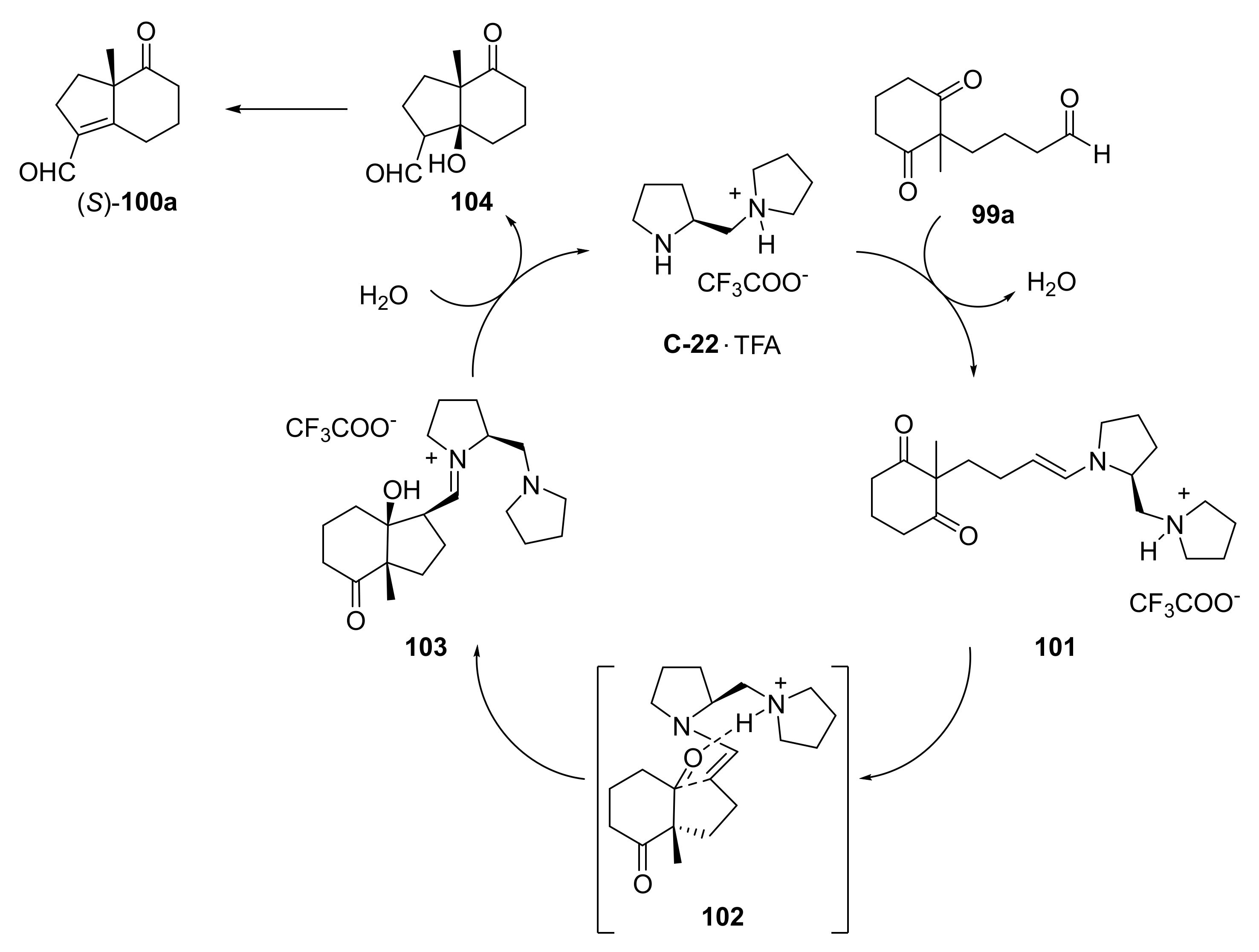 Symmetry 14 00355 sch008