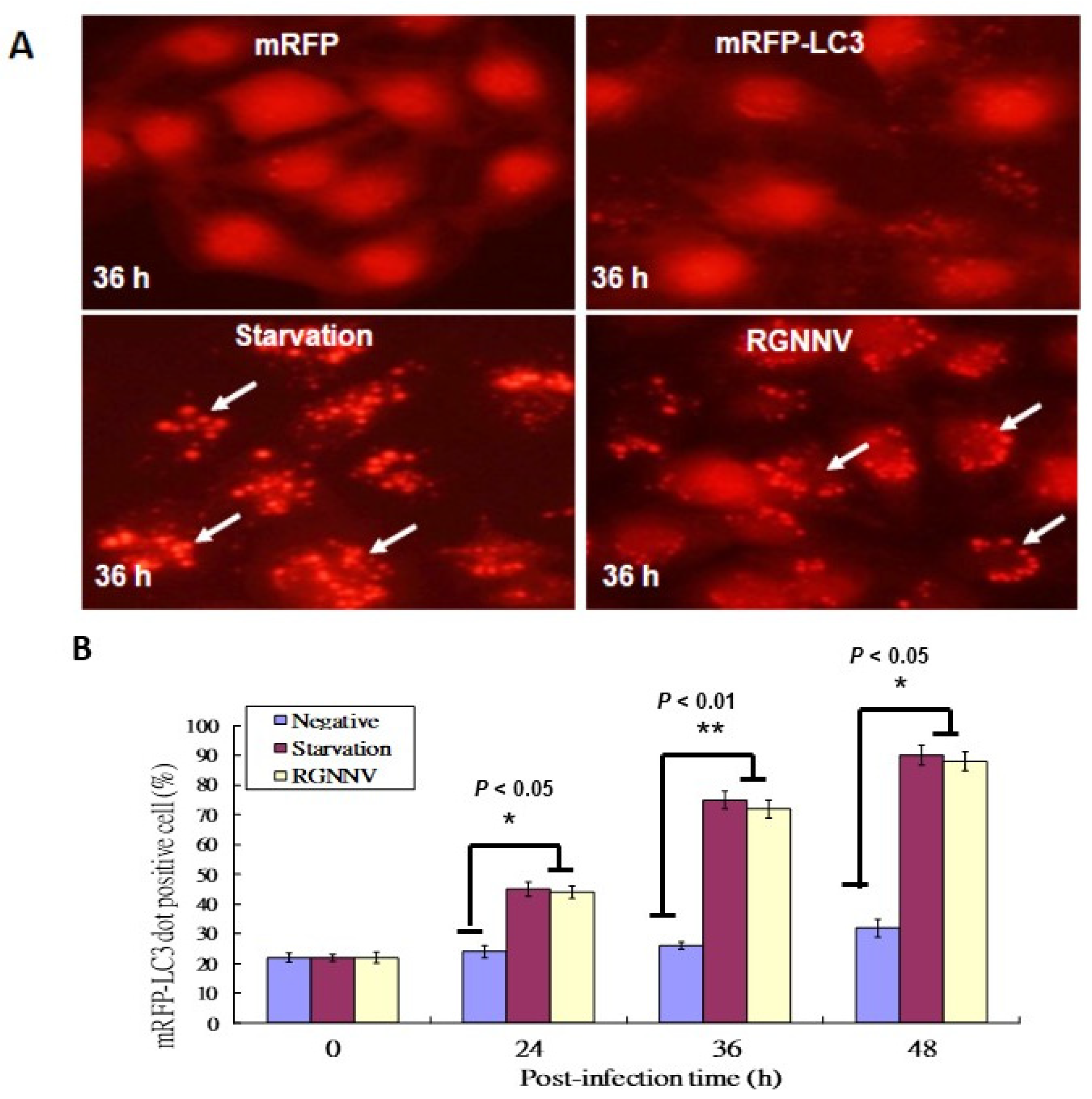 Symmetry 14 00360 g001 Symmetry 14 00360 g001