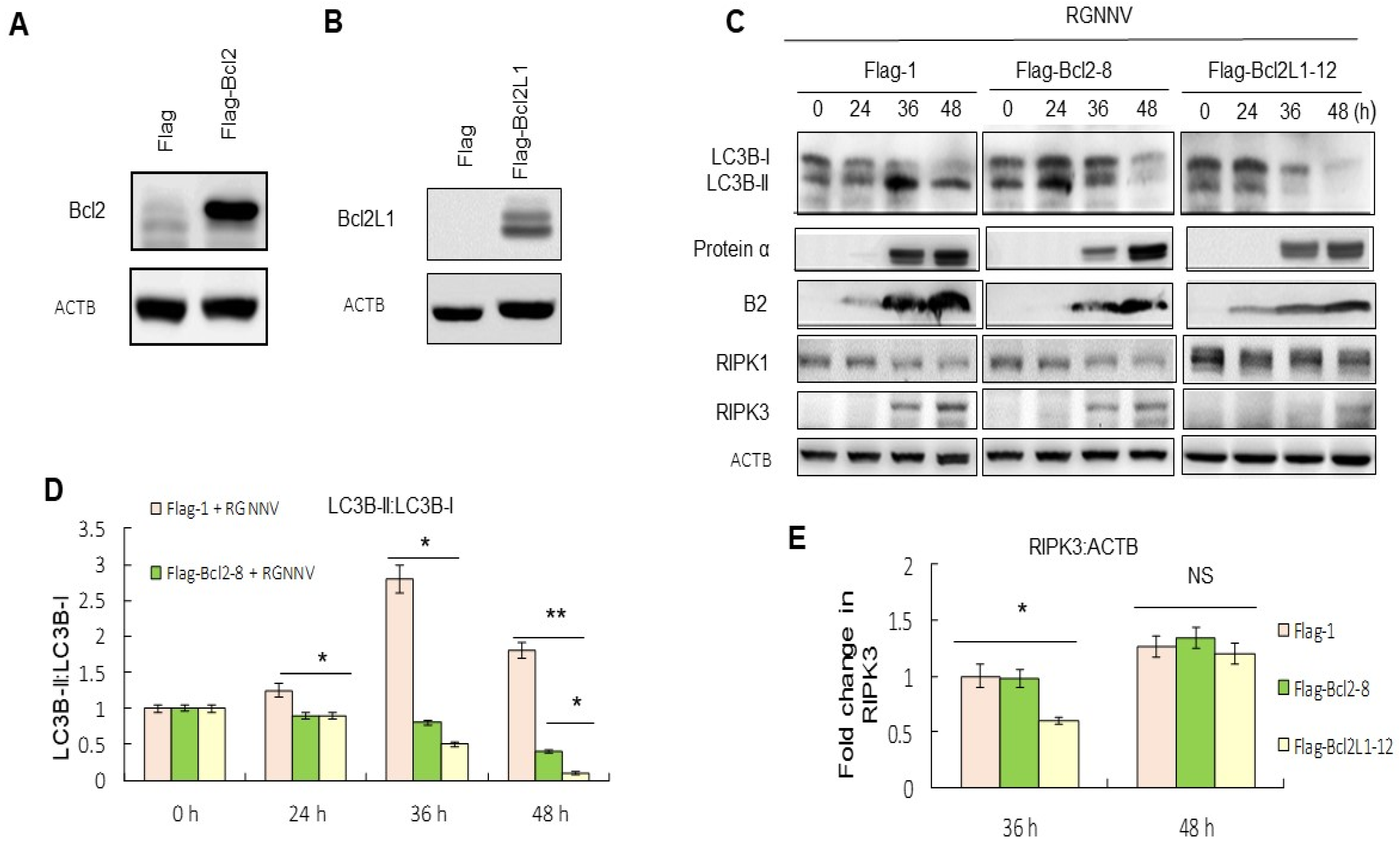 Symmetry 14 00360 g003 Symmetry 14 00360 g003