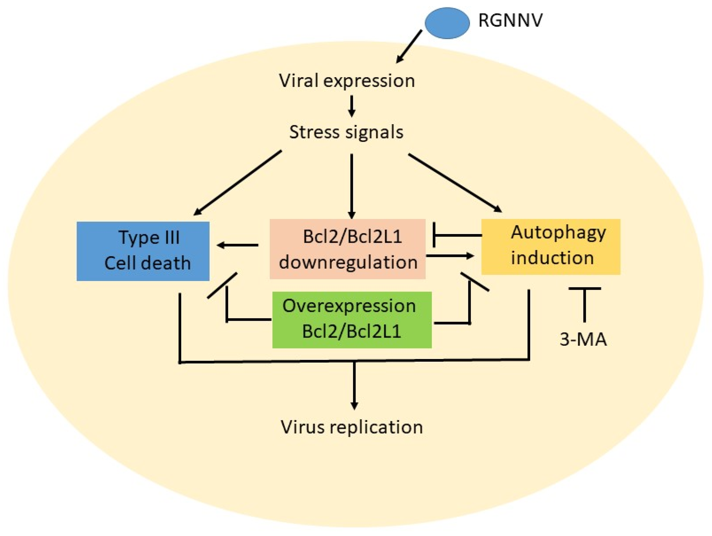 Symmetry 14 00360 g006 Symmetry 14 00360 g006