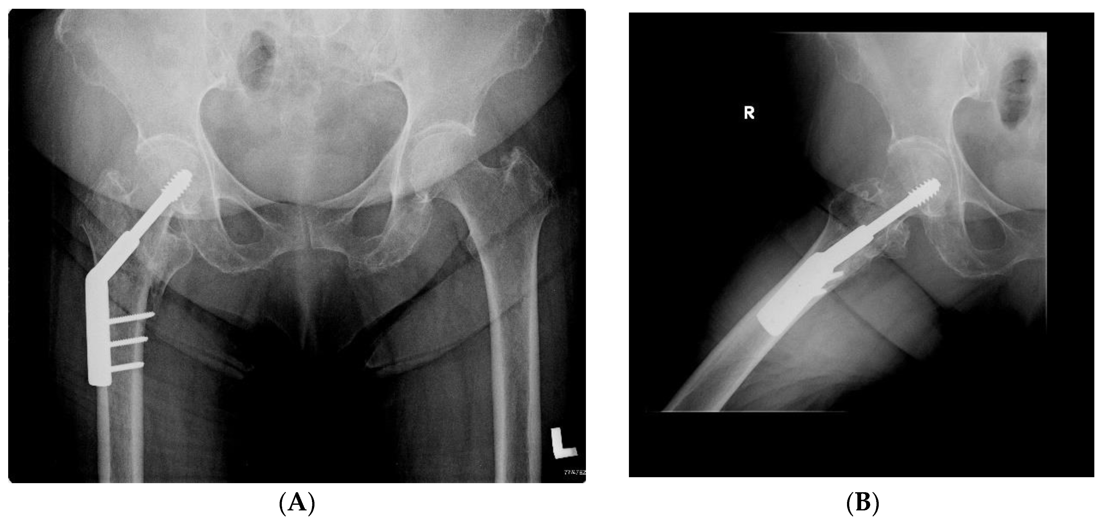 Symmetry 14 00393 g001 550