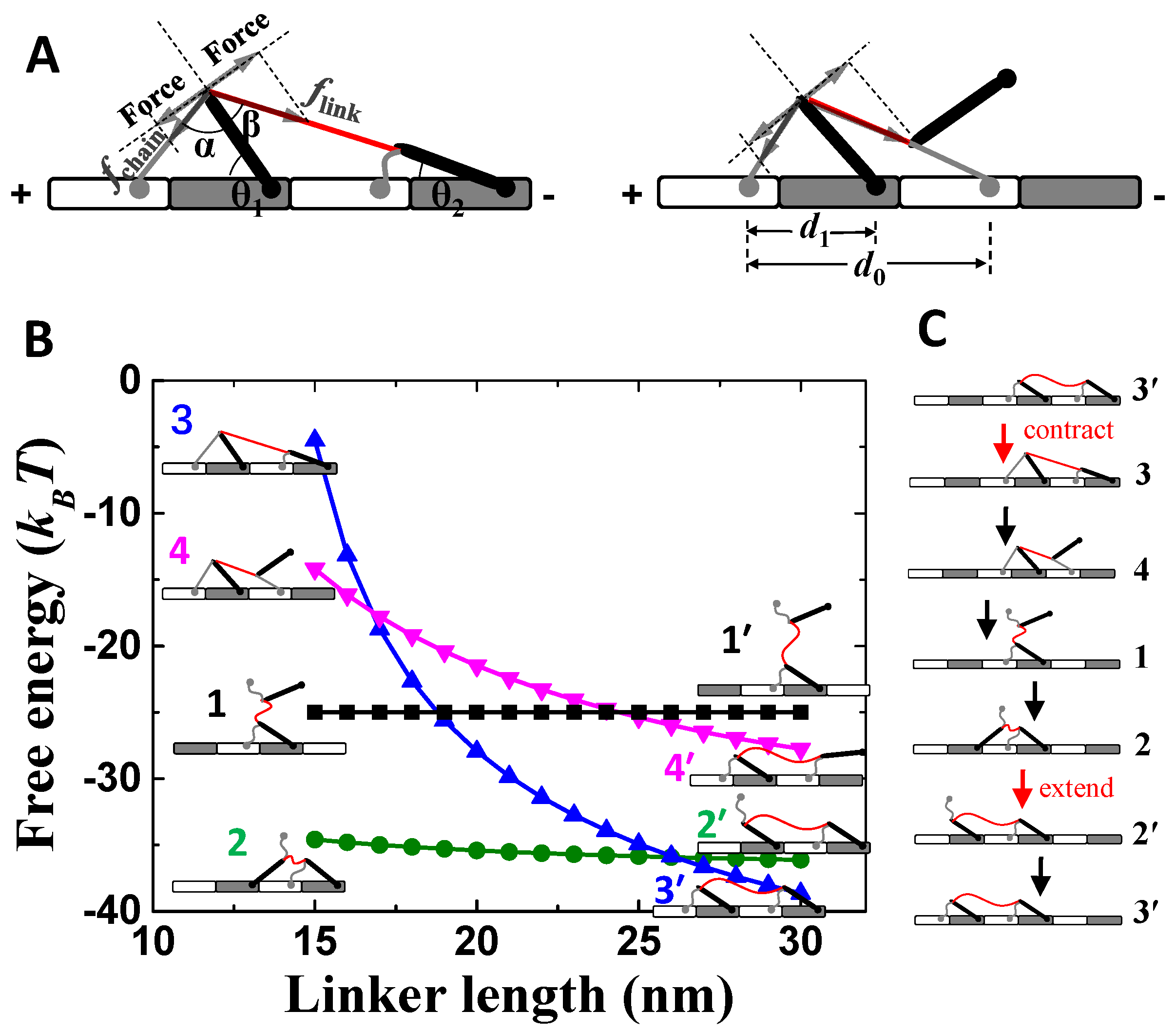 Symmetry 14 00416 g001 550