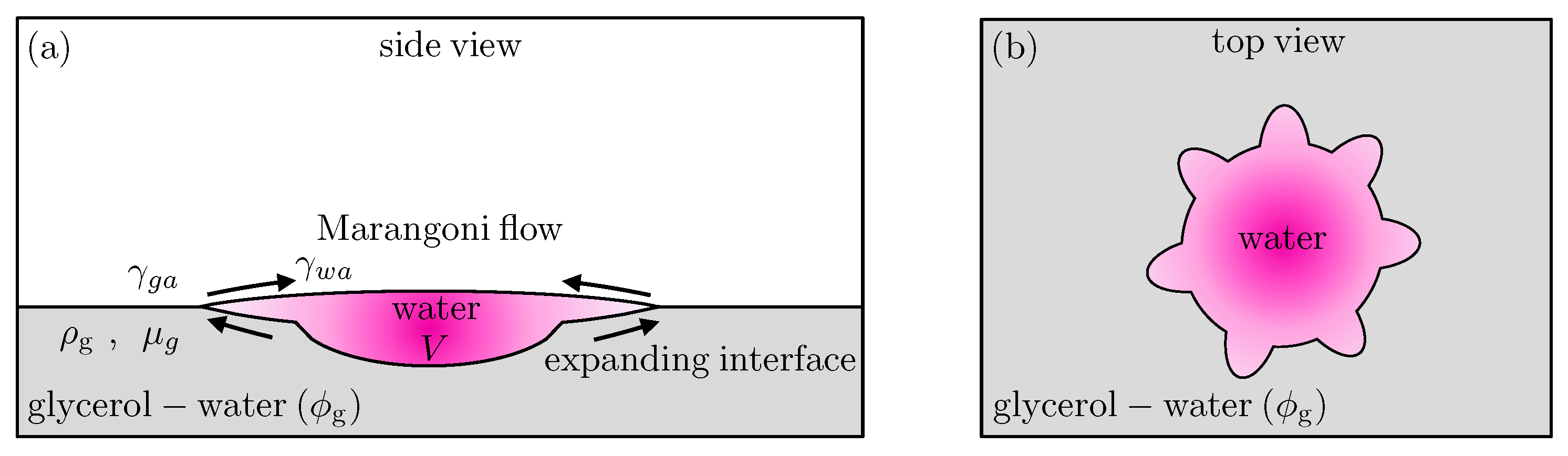 Symmetry 14 00425 g001 550