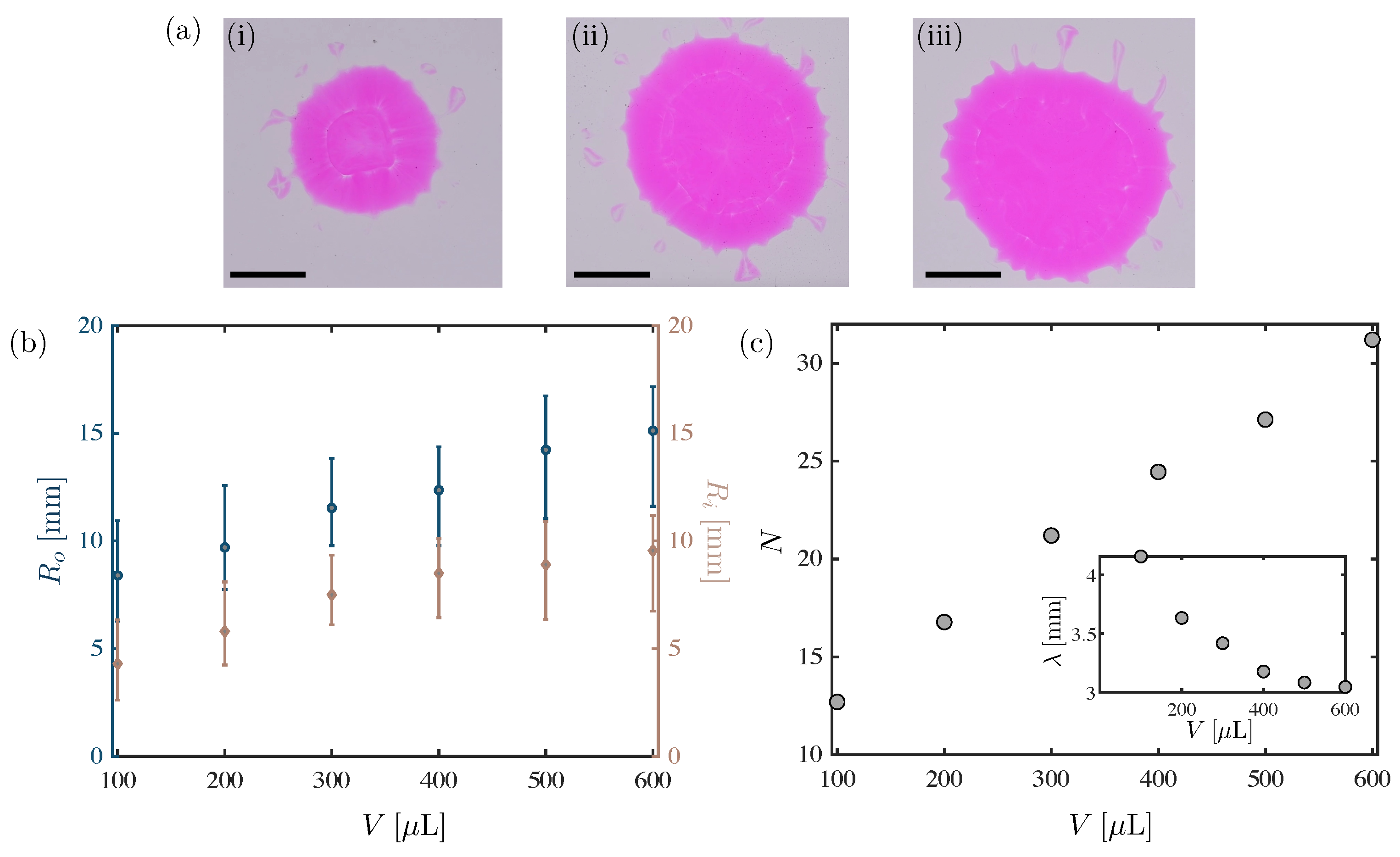 Symmetry 14 00425 g004 550