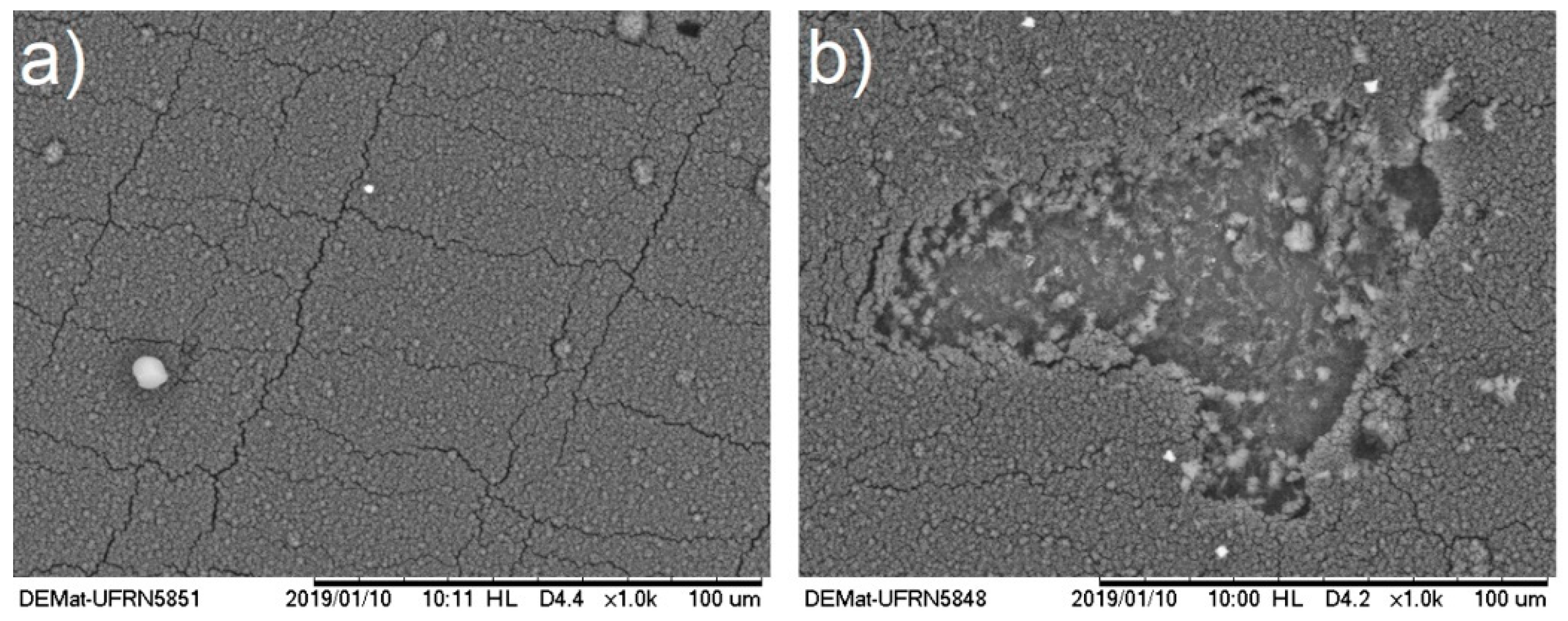 Symmetry 14 00524 g007