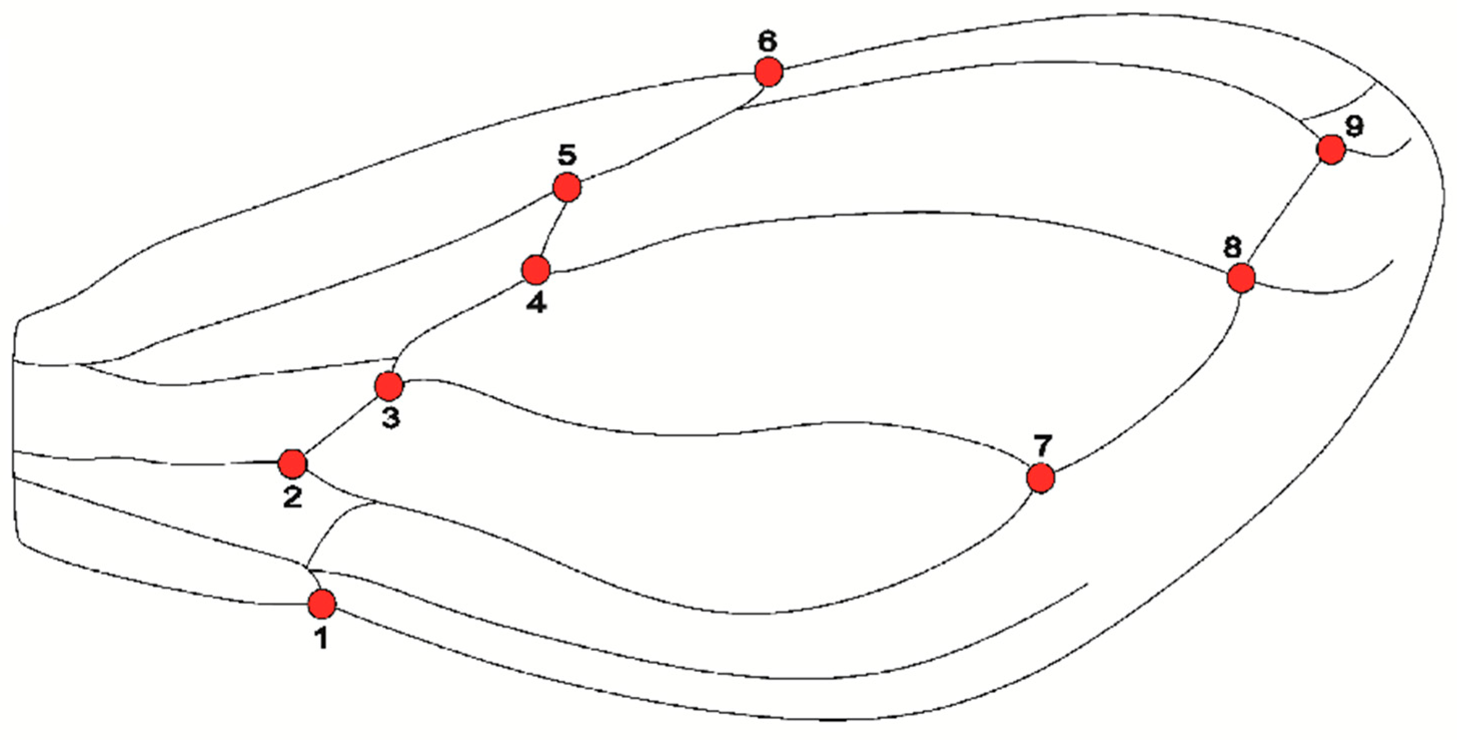 Symmetry 14 00526 g002