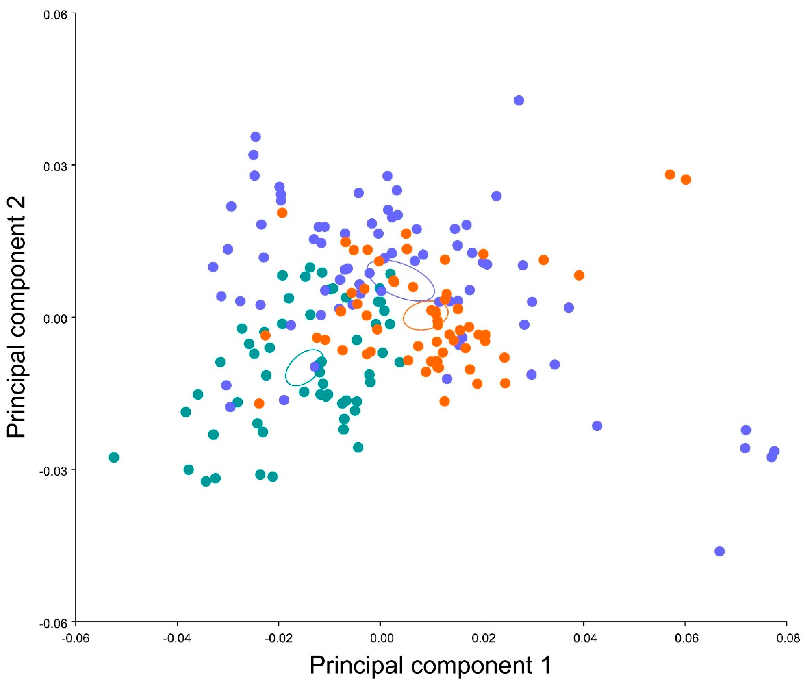 Symmetry | Free Full-Text | Insect Fluctuating Asymmetry: An Example in ...