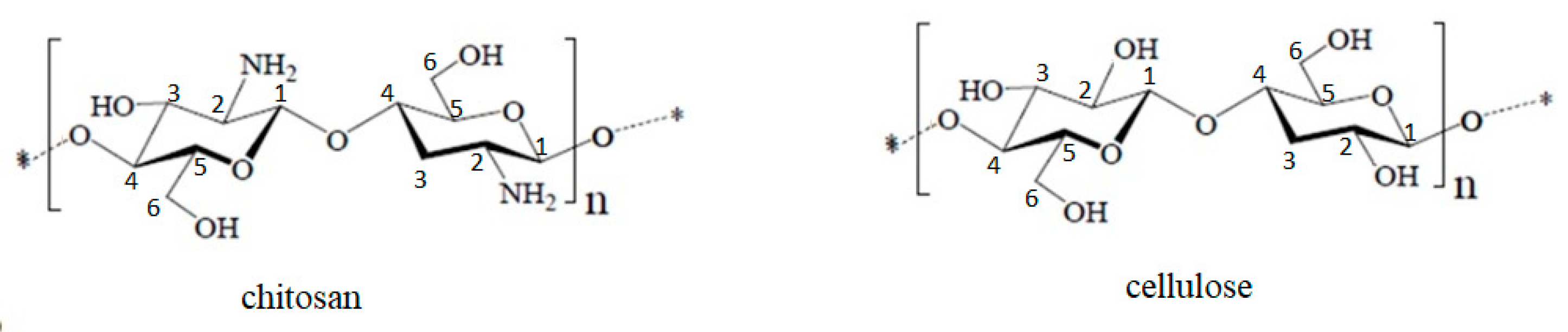Symmetry 14 00572 g001 550