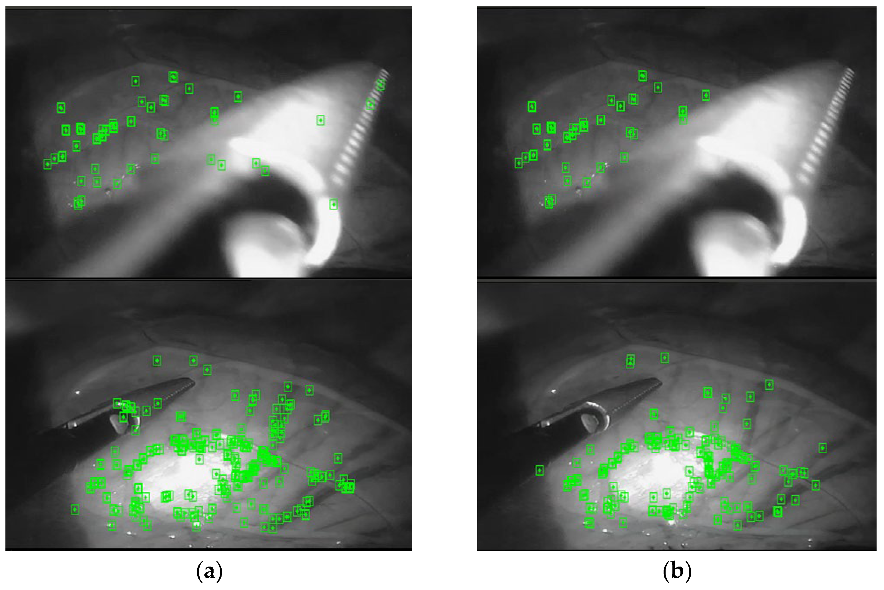 Symmetry 14 00614 g006