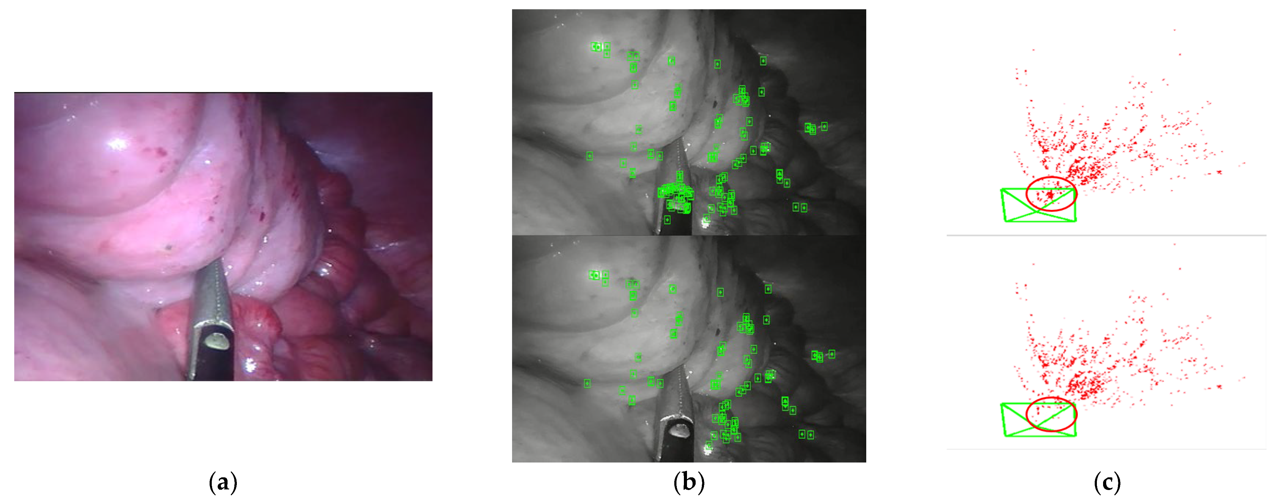Symmetry 14 00614 g007
