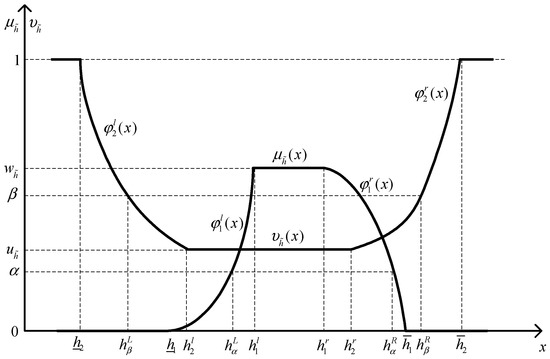 オーダー　専用 Anomalous transport due to Weyl fermions in the chiral