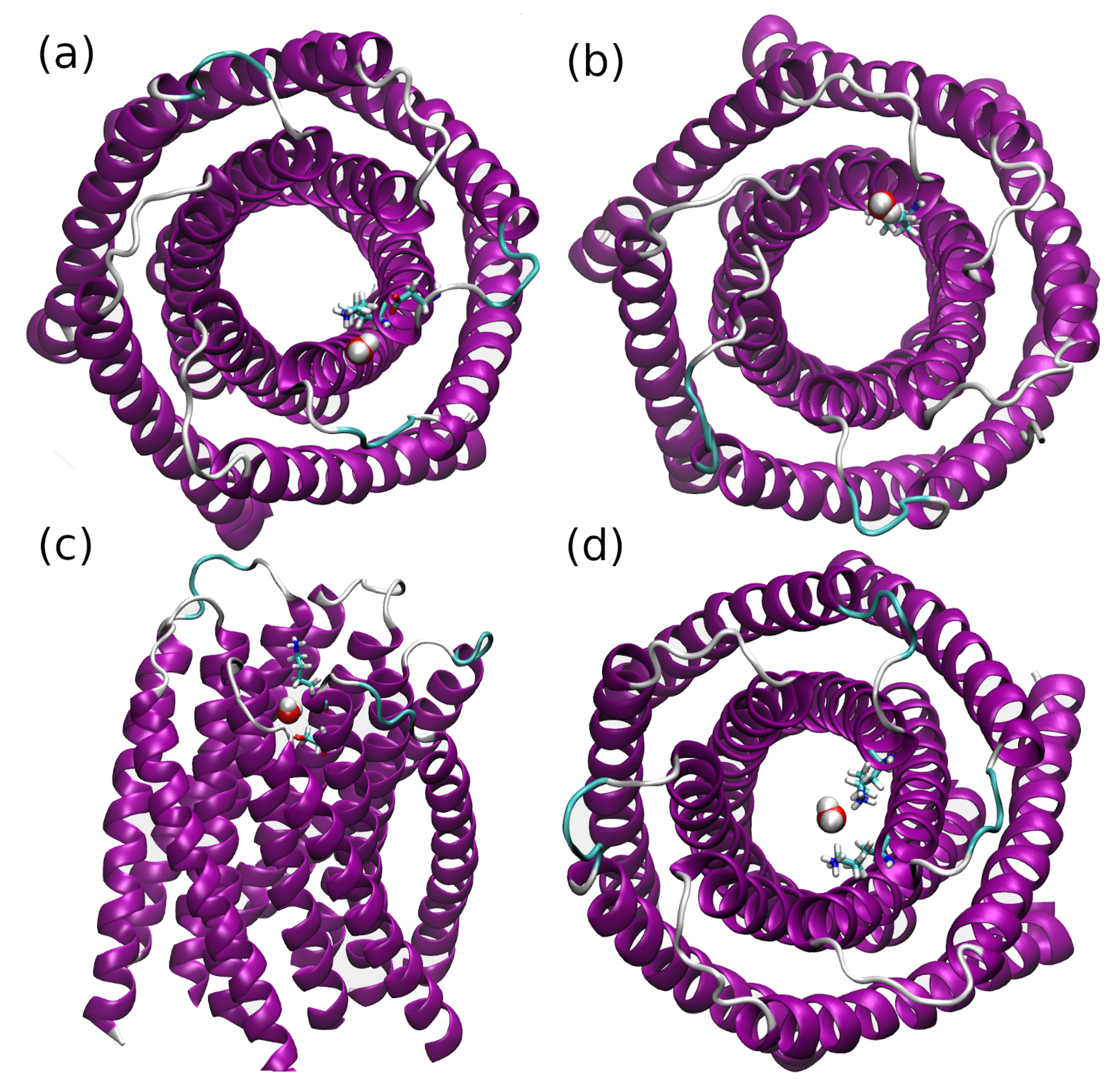 Symmetry 14 00691 g008