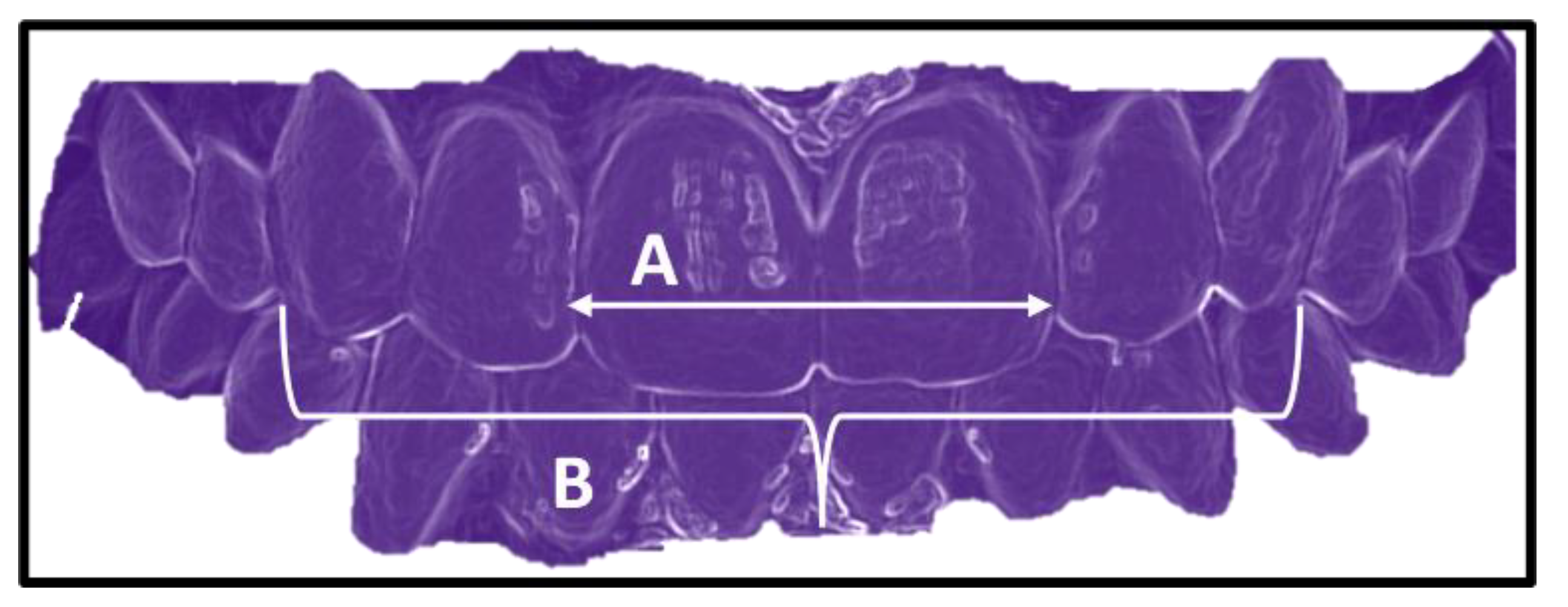 Symmetry 14 00723 g001 Symmetry 14 00723 g001