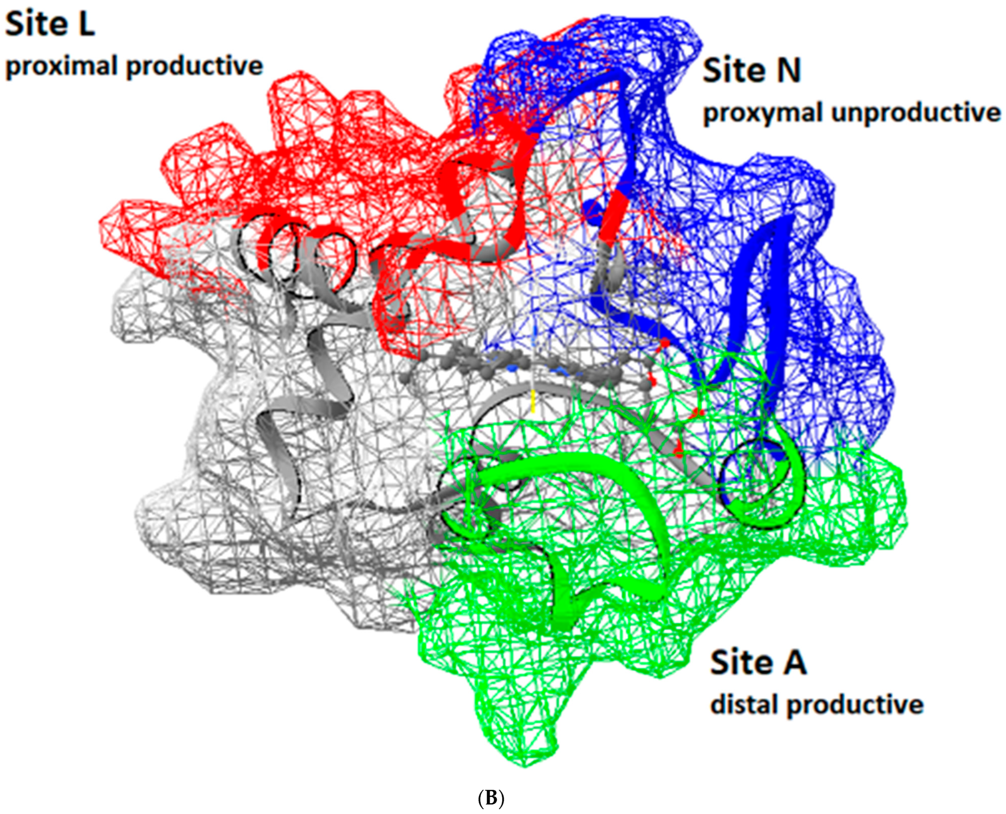 Symmetry 14 00767 g002b 550