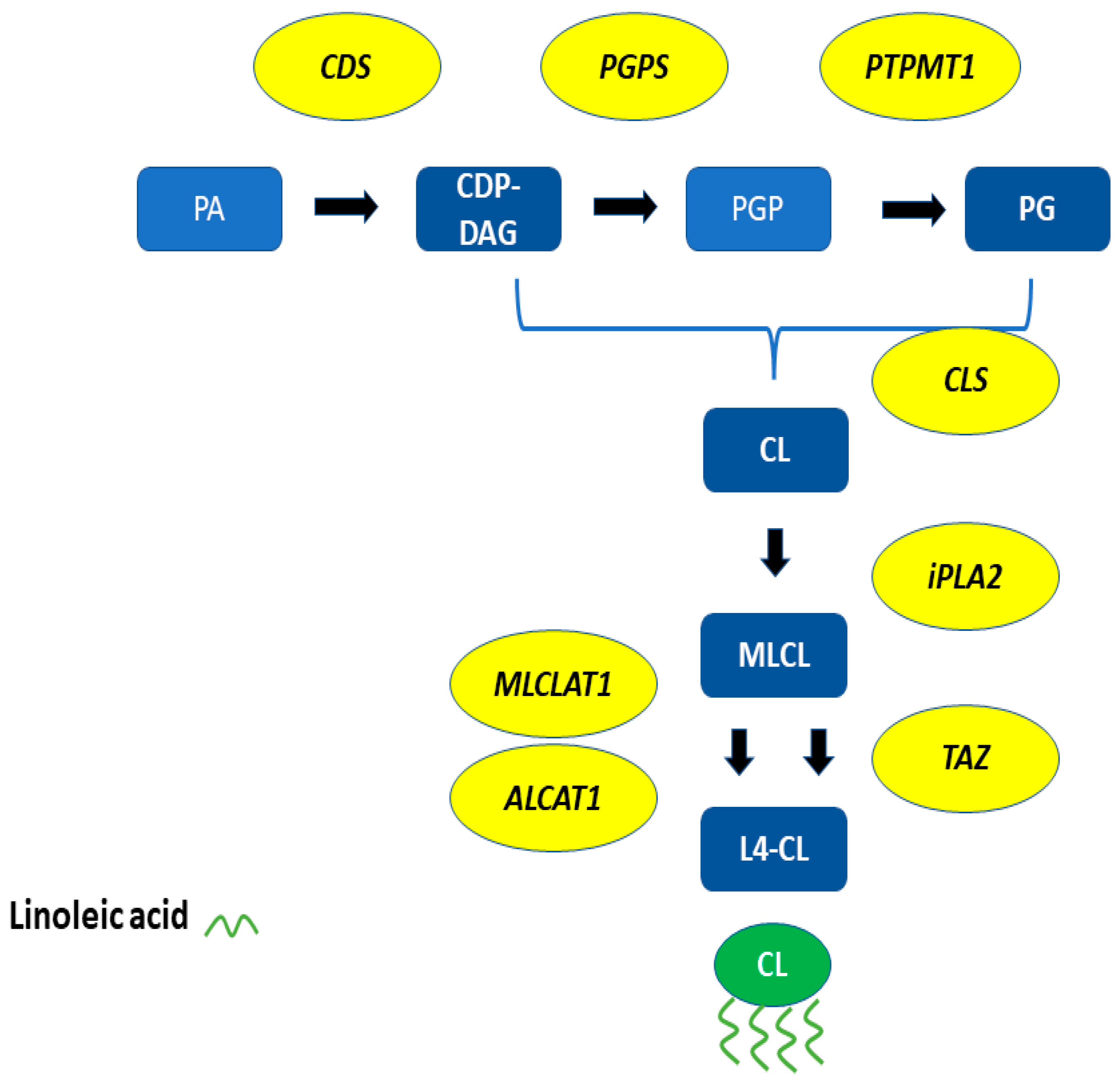 Symmetry 14 00767 g004 550