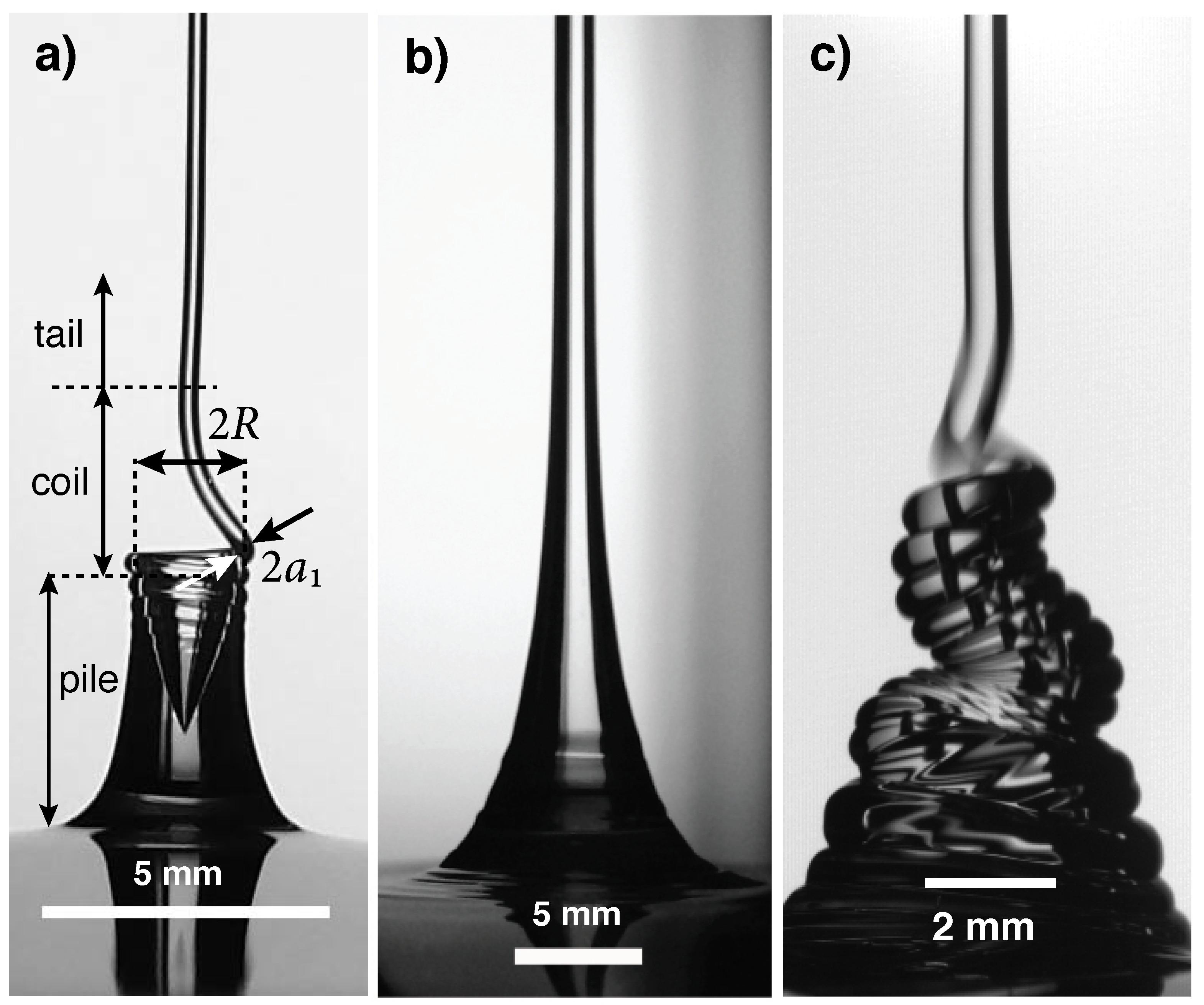 Symmetry 14 00772 g001 550