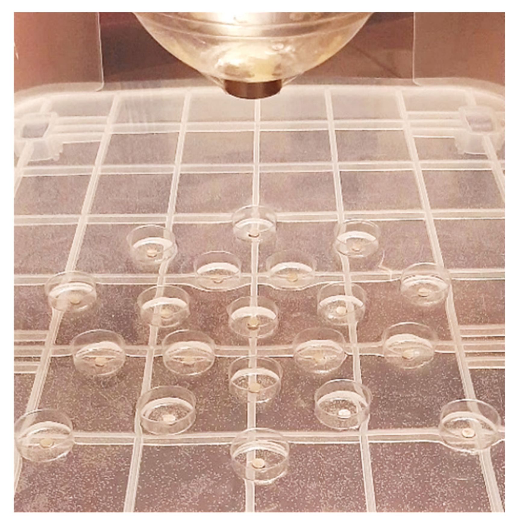 Symmetry 14 00795 g002