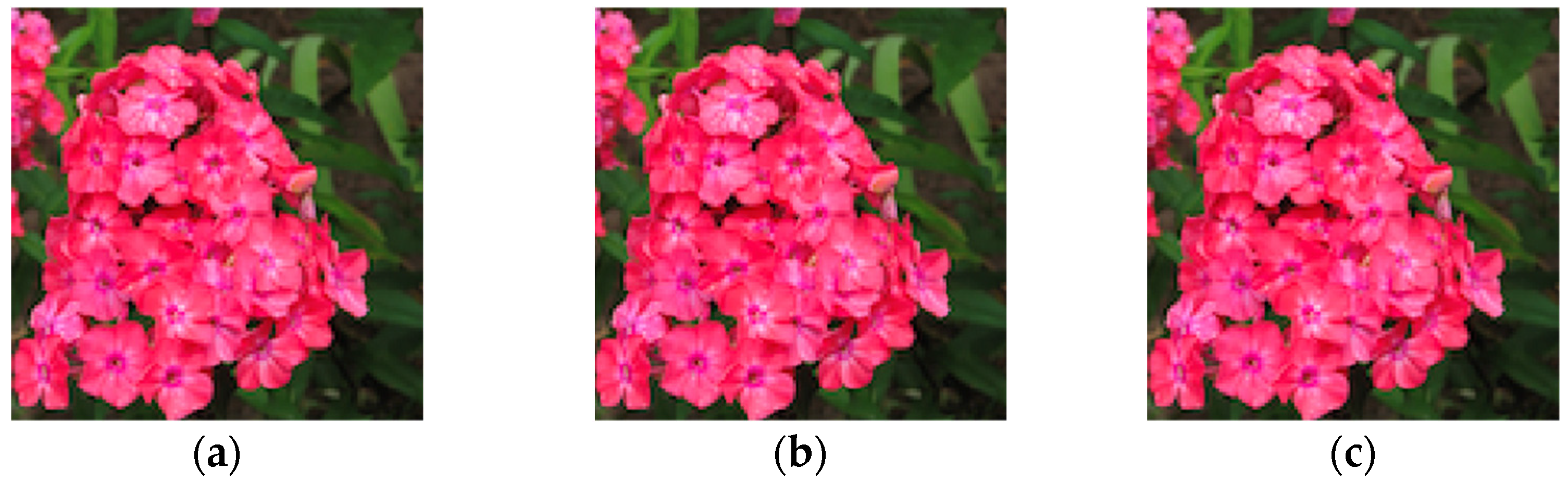 Symmetry 14 00819 g006a 550