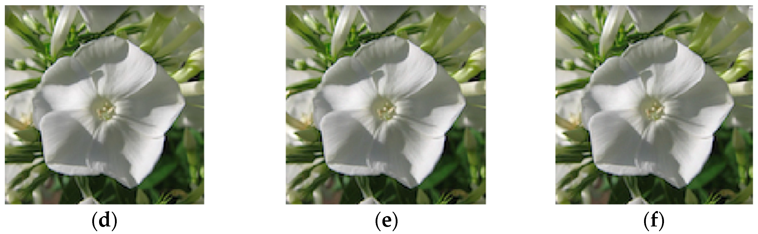 Symmetry 14 00819 g006b 550