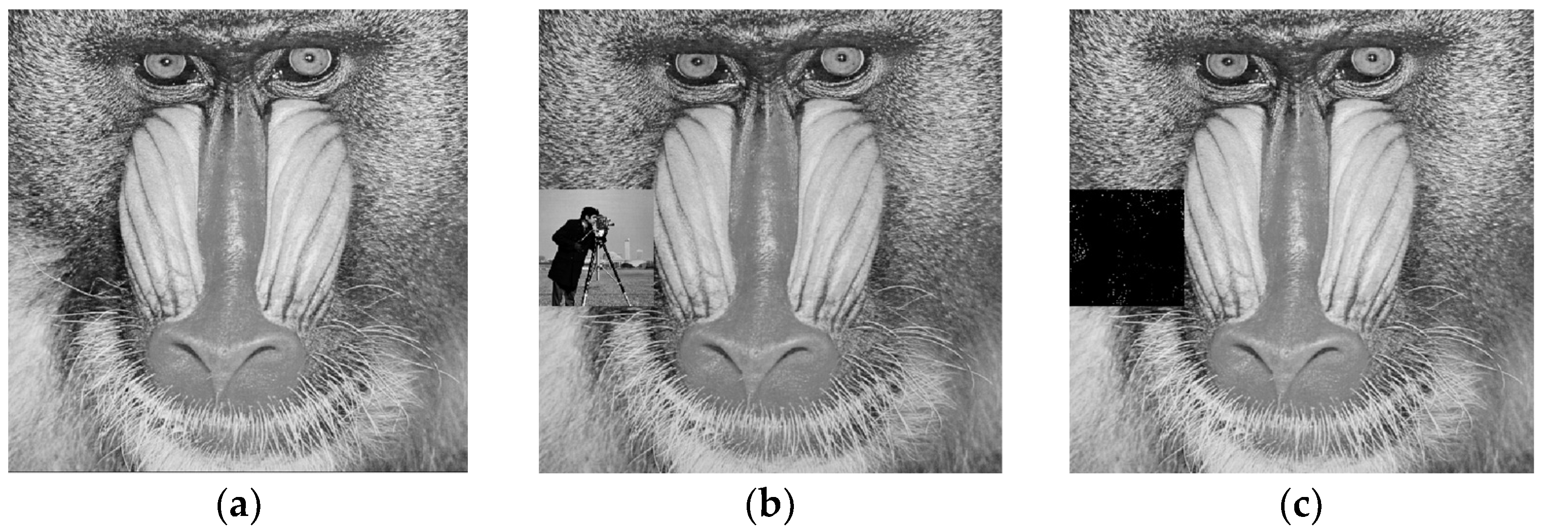 Symmetry 14 00819 g007 550