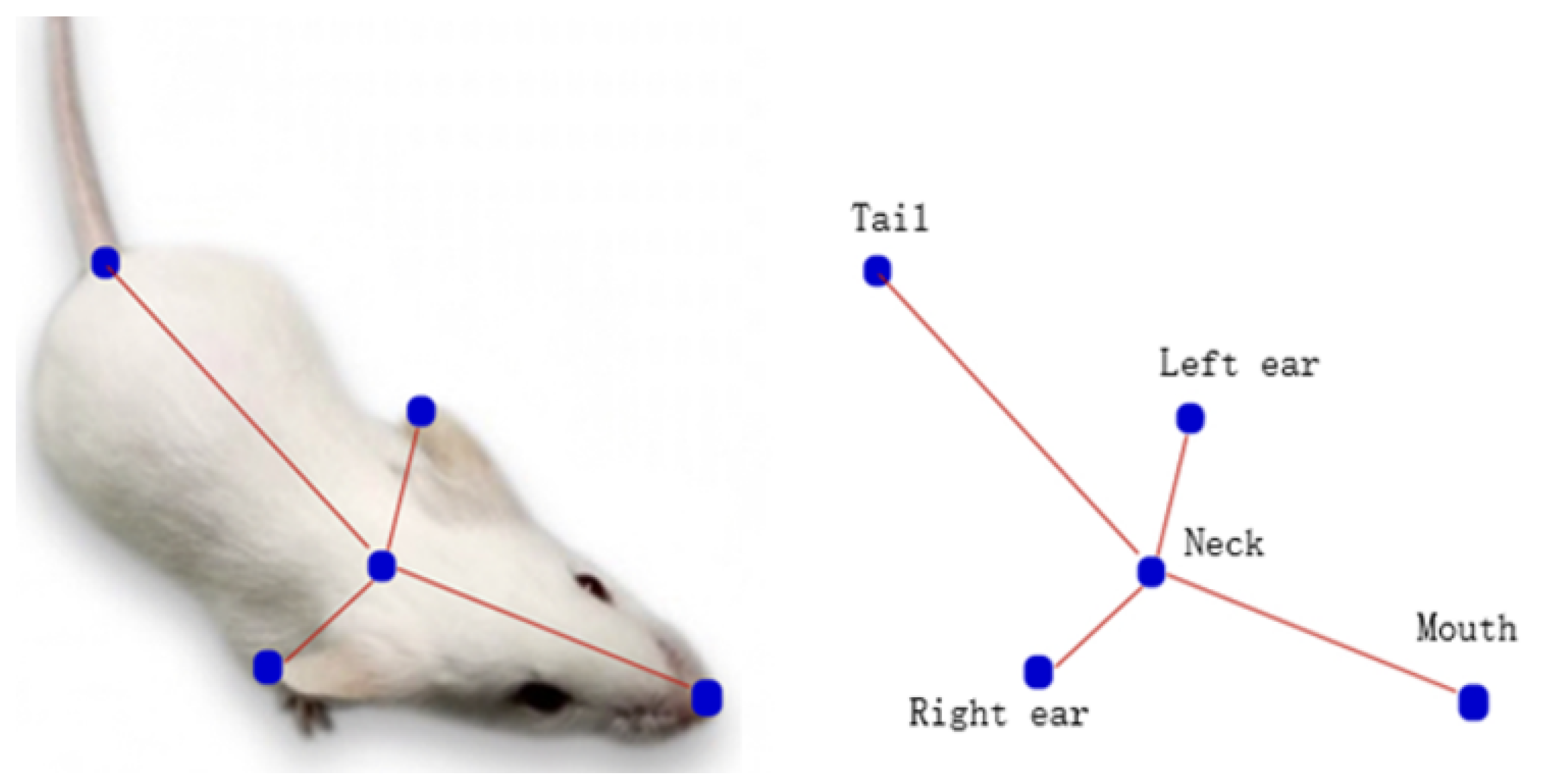 a 3D imaging of mouse pose dynamics. MoSeq uses depth cameras to image