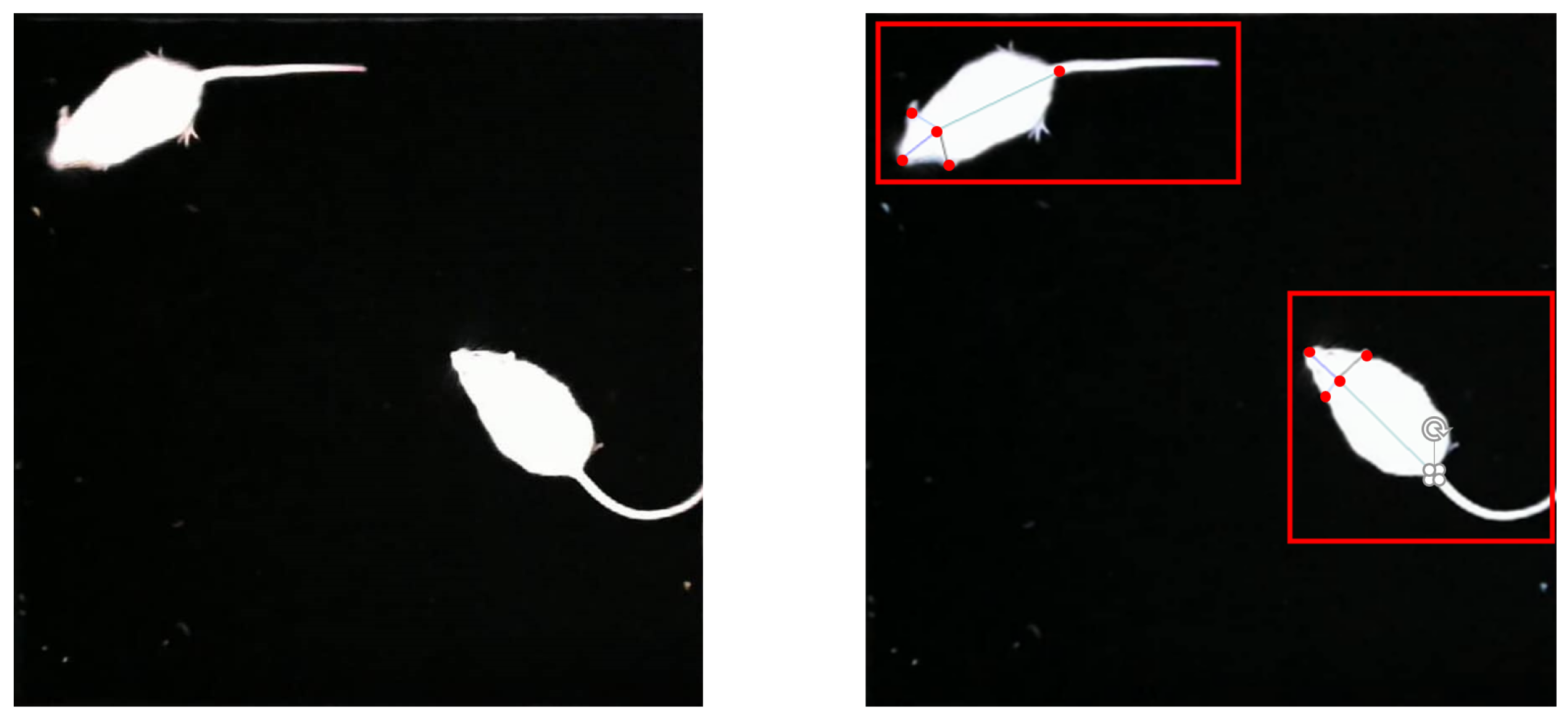 Symmetry 14 00875 g003 550