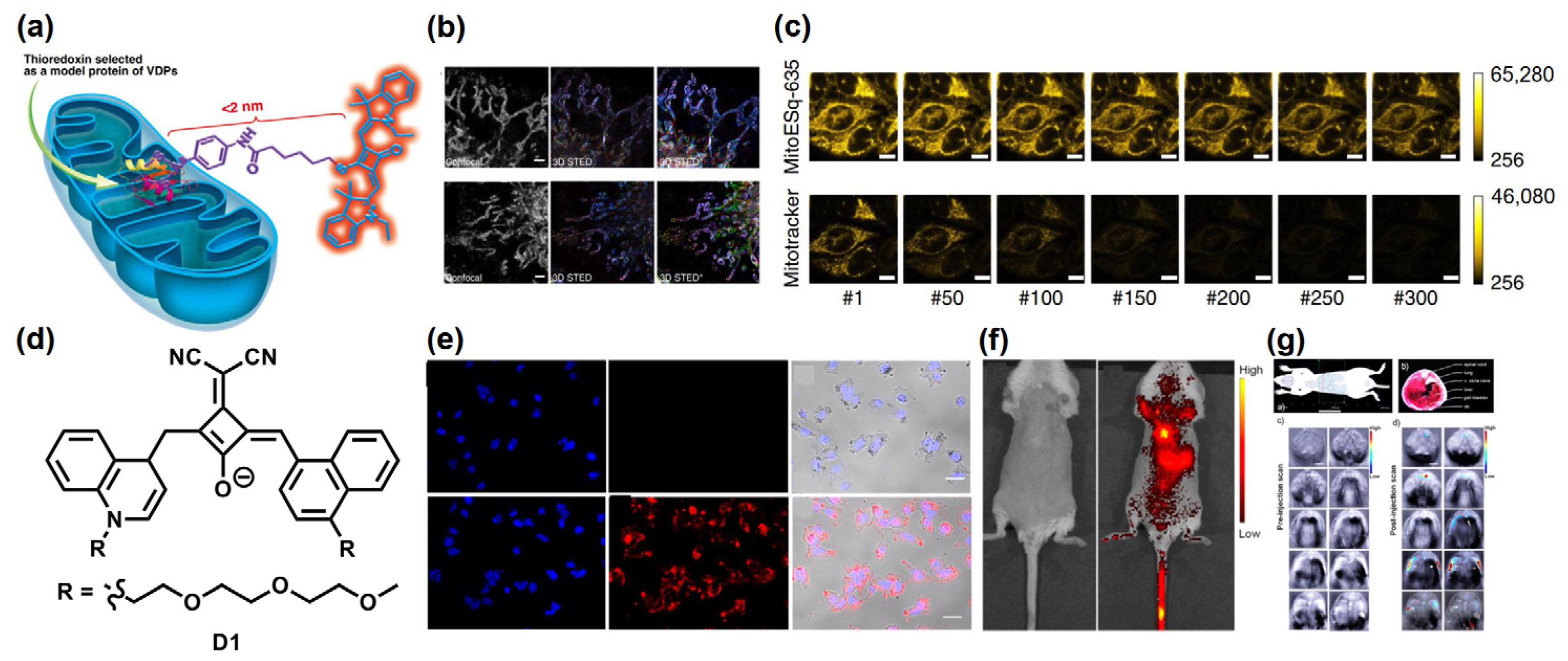 Symmetry 14 00966 g010 550