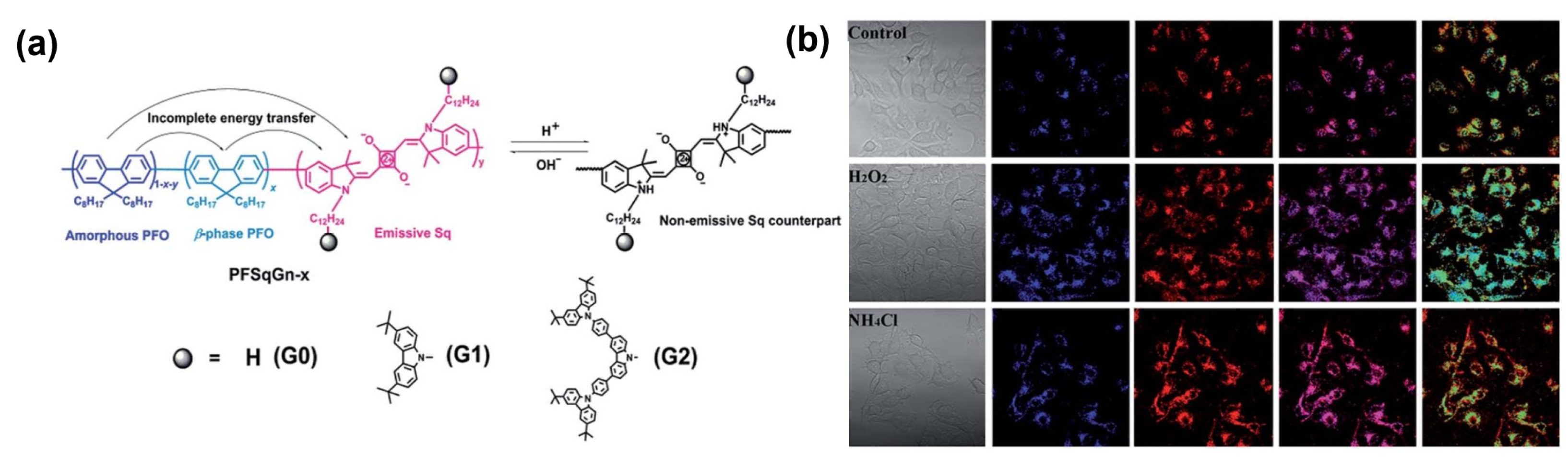 Symmetry 14 00966 g012 550