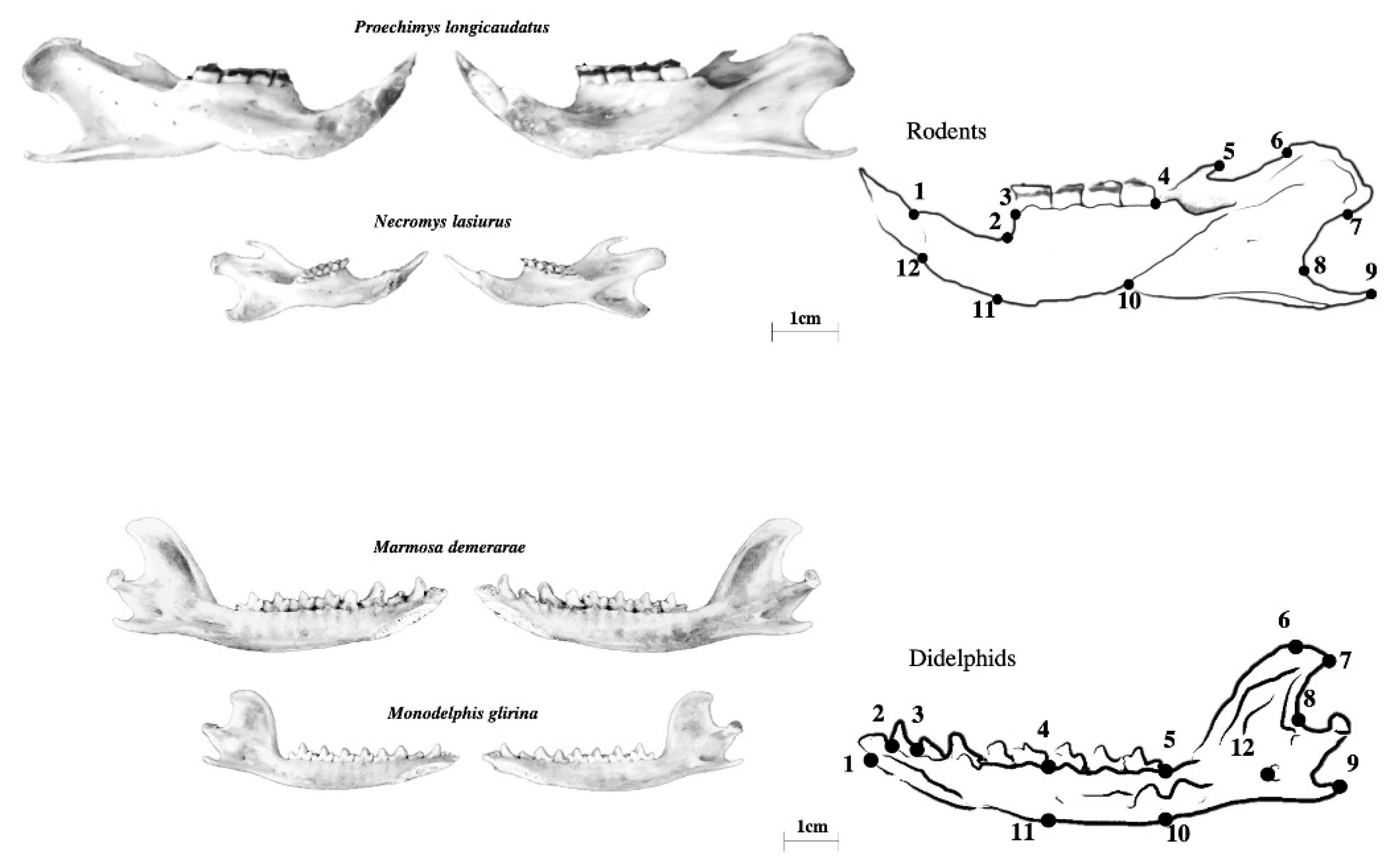 Symmetry 14 00981 g002 Symmetry 14 00981 g002