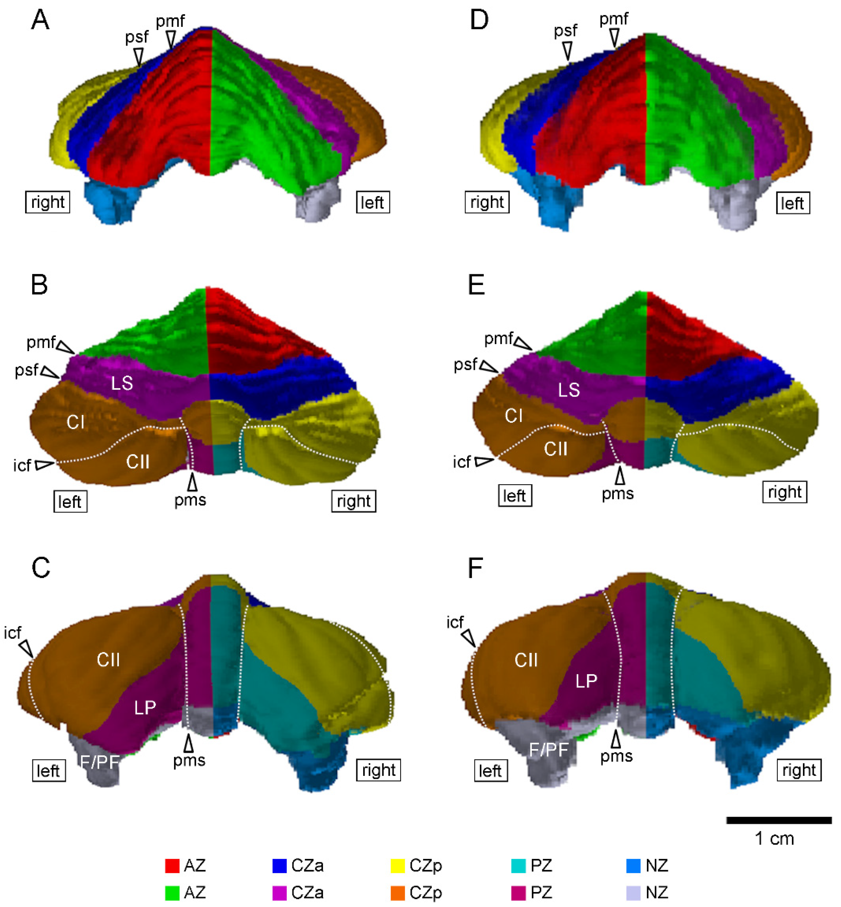 Symmetry 14 01015 g001 Symmetry 14 01015 g001