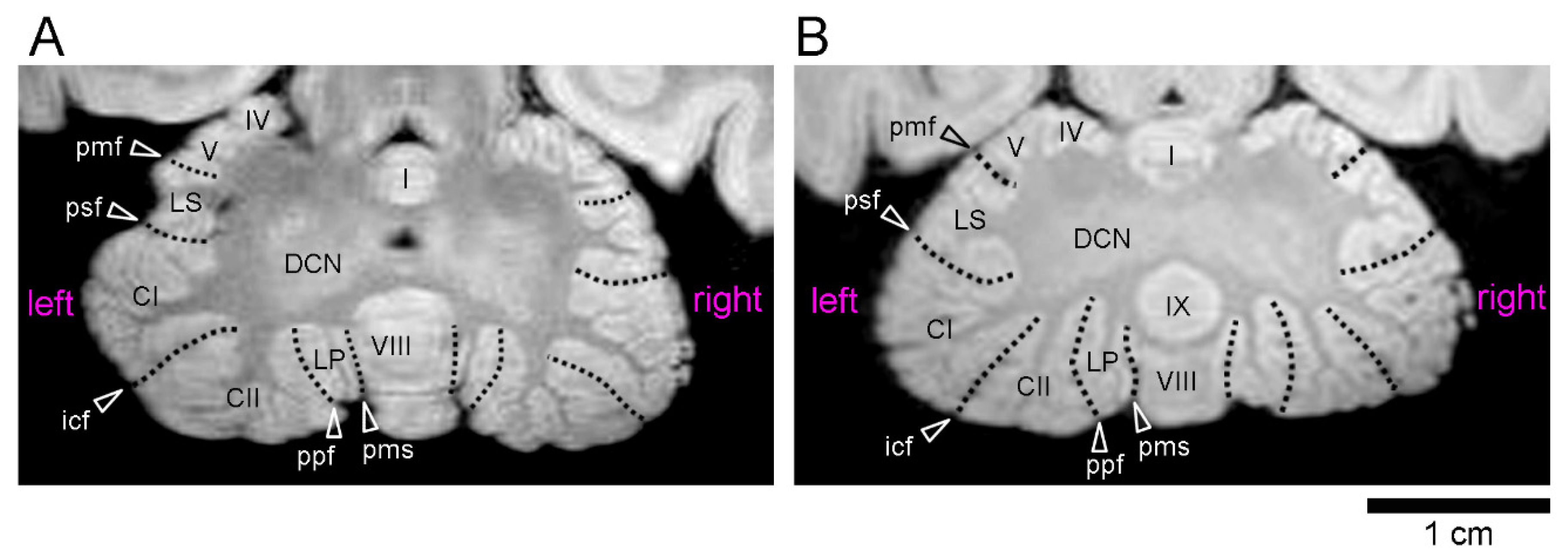 Symmetry 14 01015 g002 Symmetry 14 01015 g002