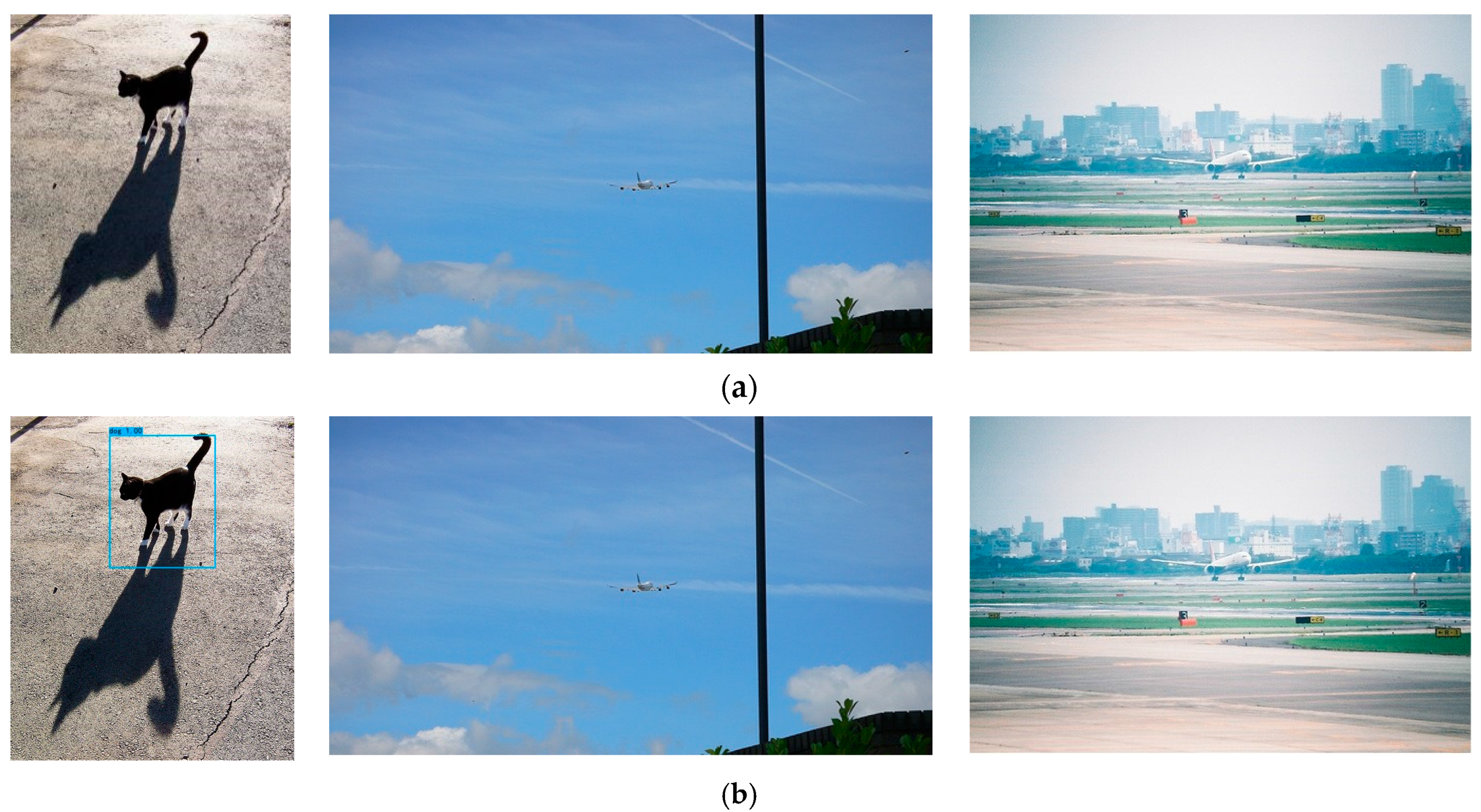 Symmetry 14 01027 g007a