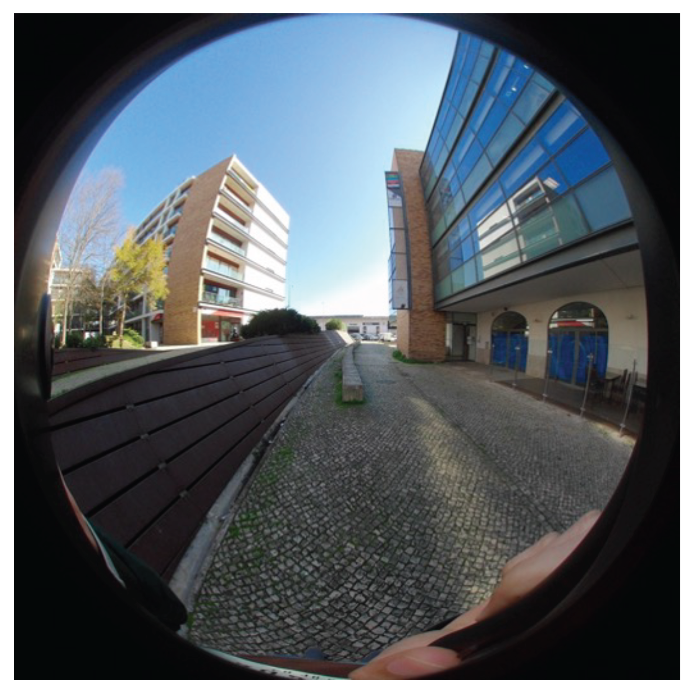 Symmetry 14 01080 g013 550