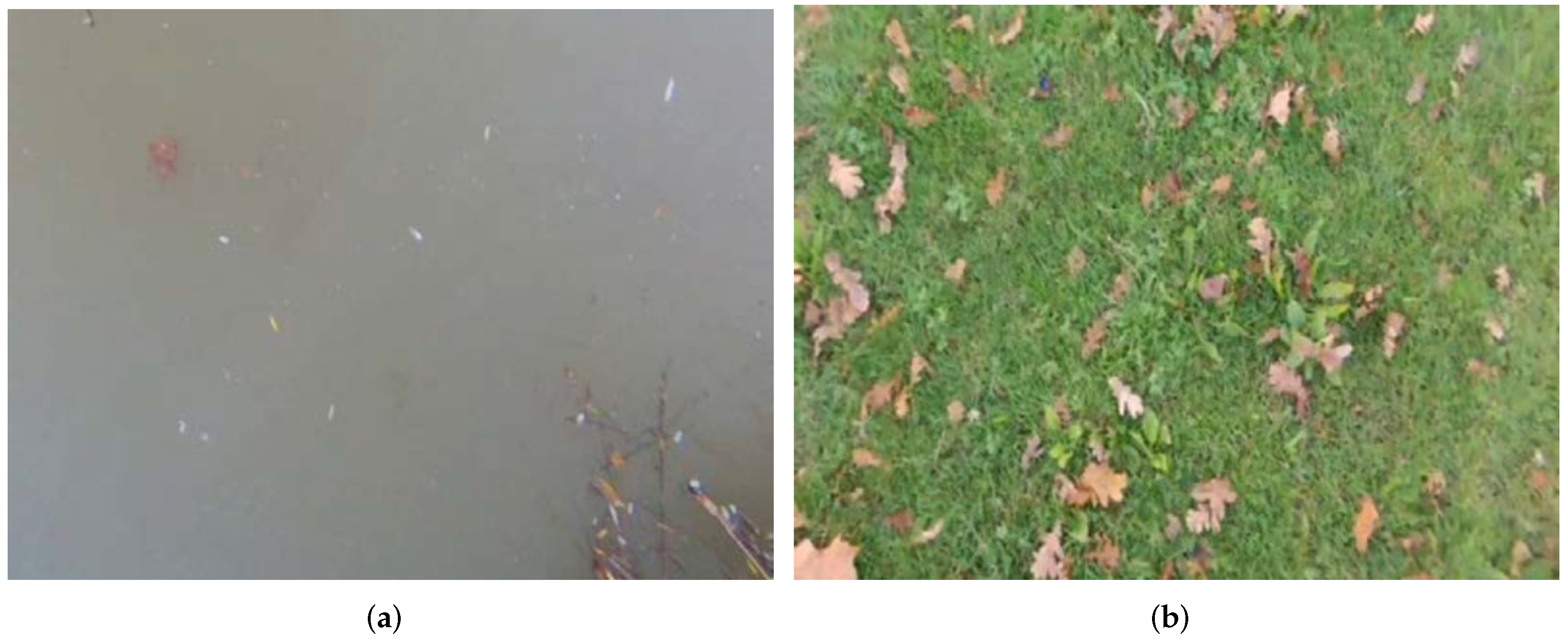 Symmetry 14 01080 g022 550