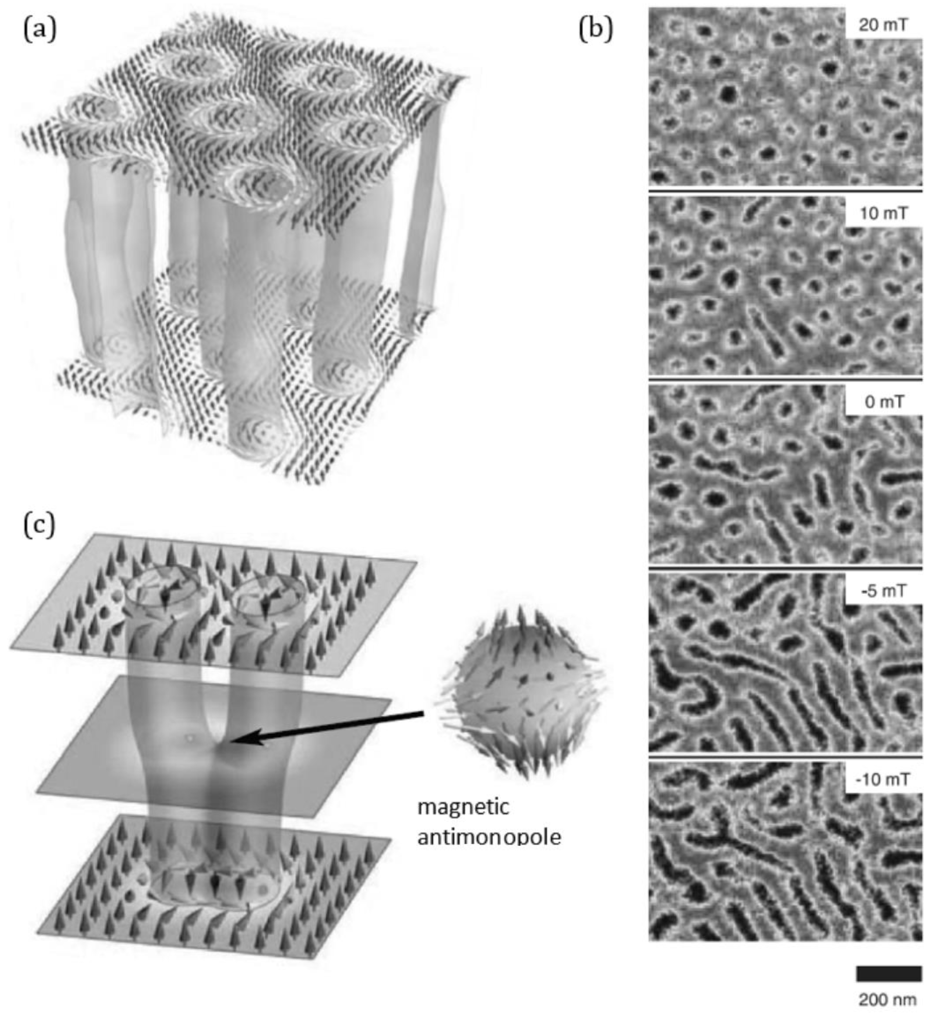 Symmetry 14 01098 g003