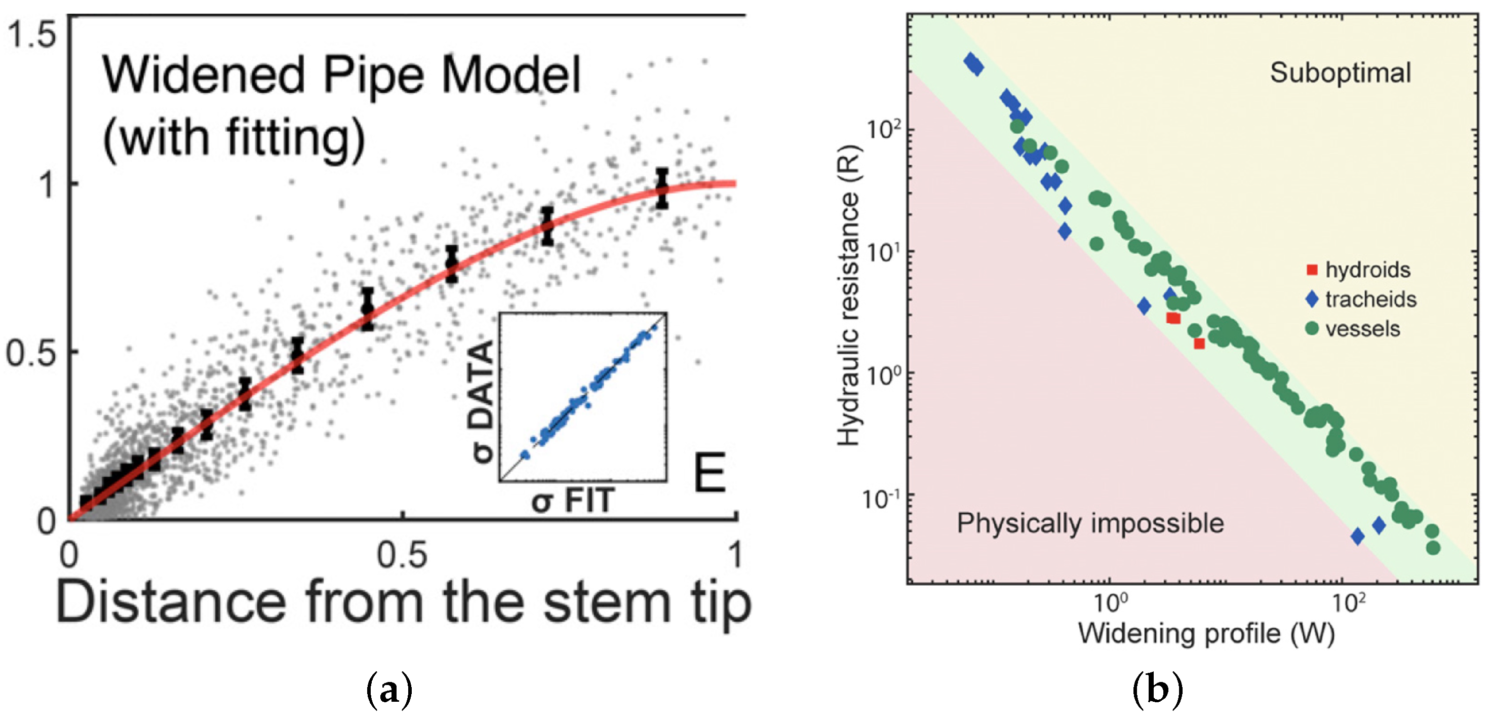 Symmetry 14 01169 g003