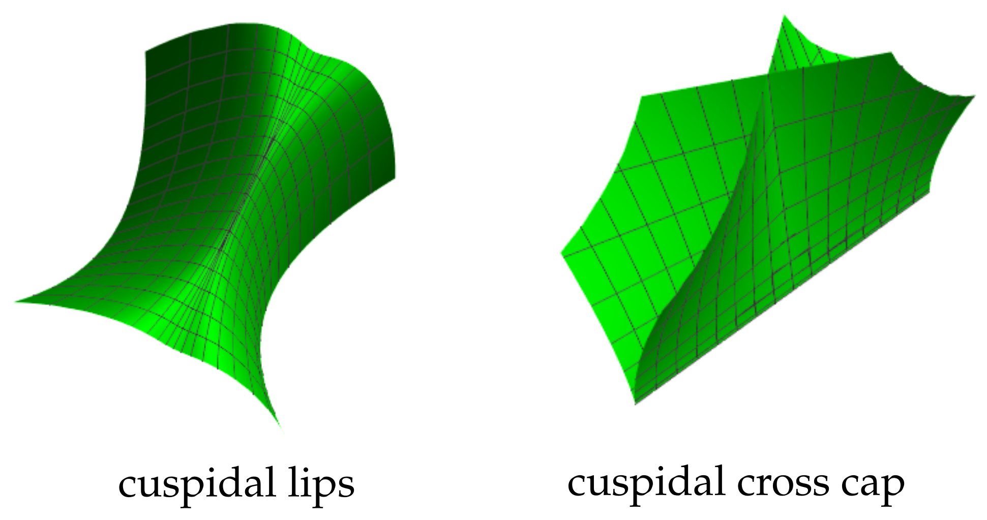 Symmetry 14 01203 g002