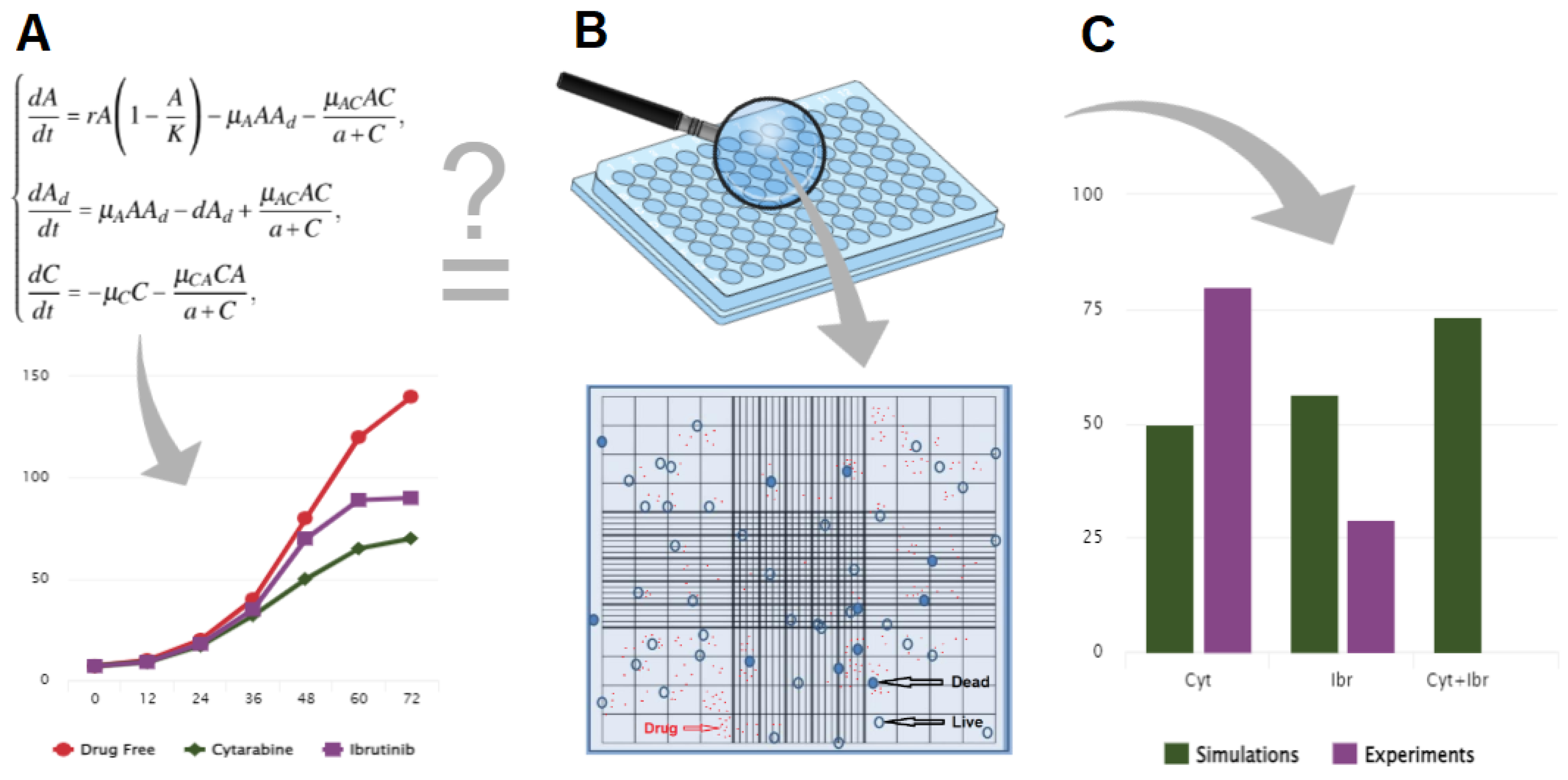 Symmetry 14 01269 g001