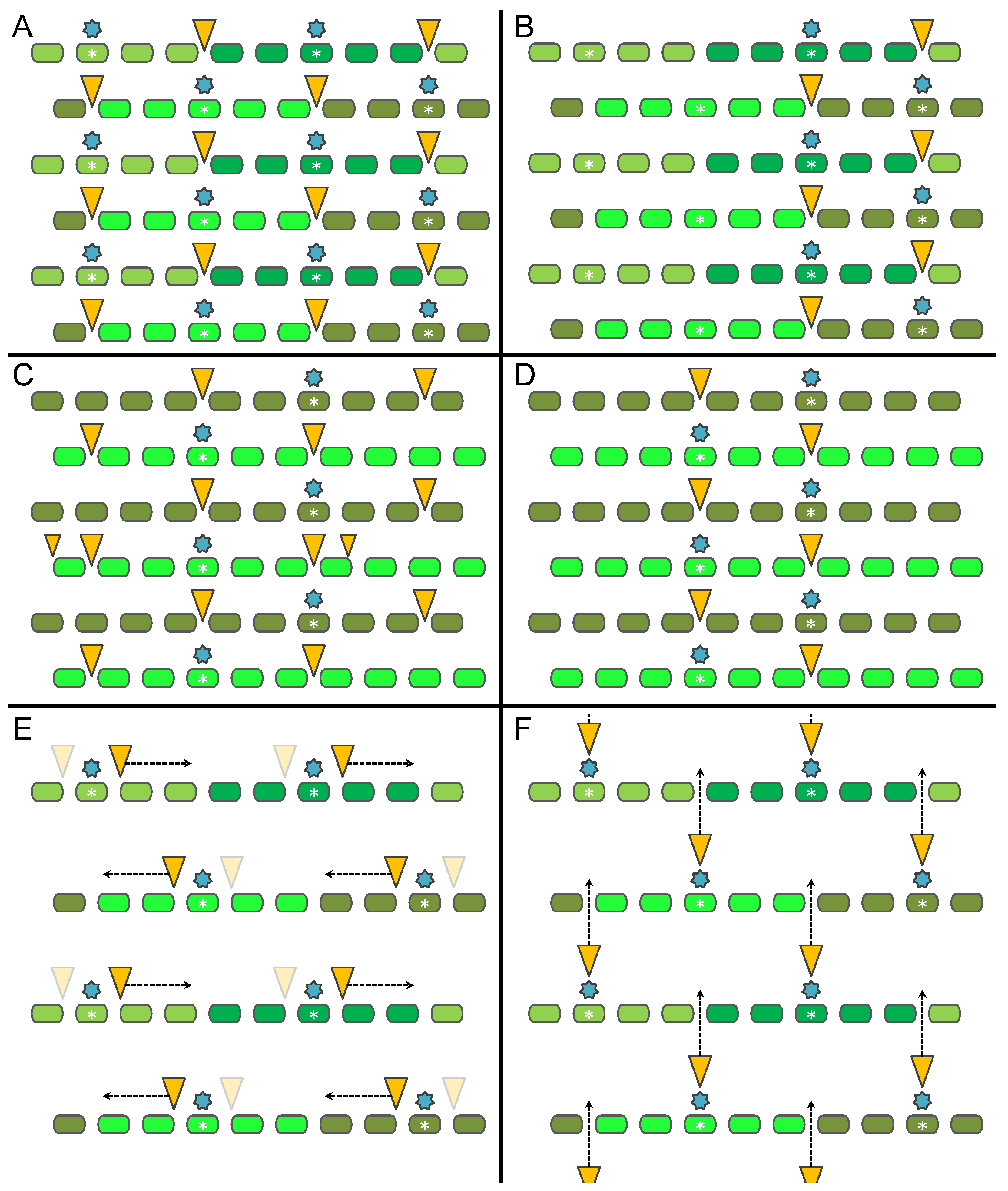 Symmetry 14 01288 g002