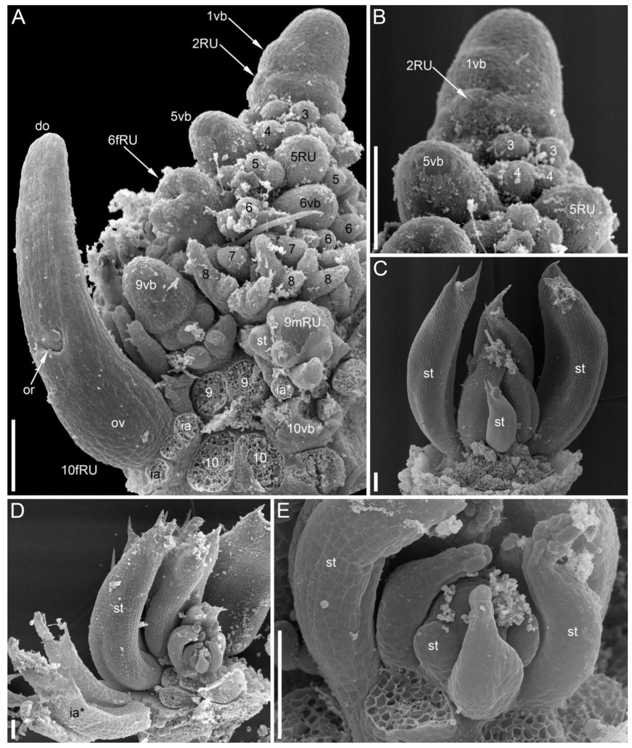Symmetry 14 01288 g008