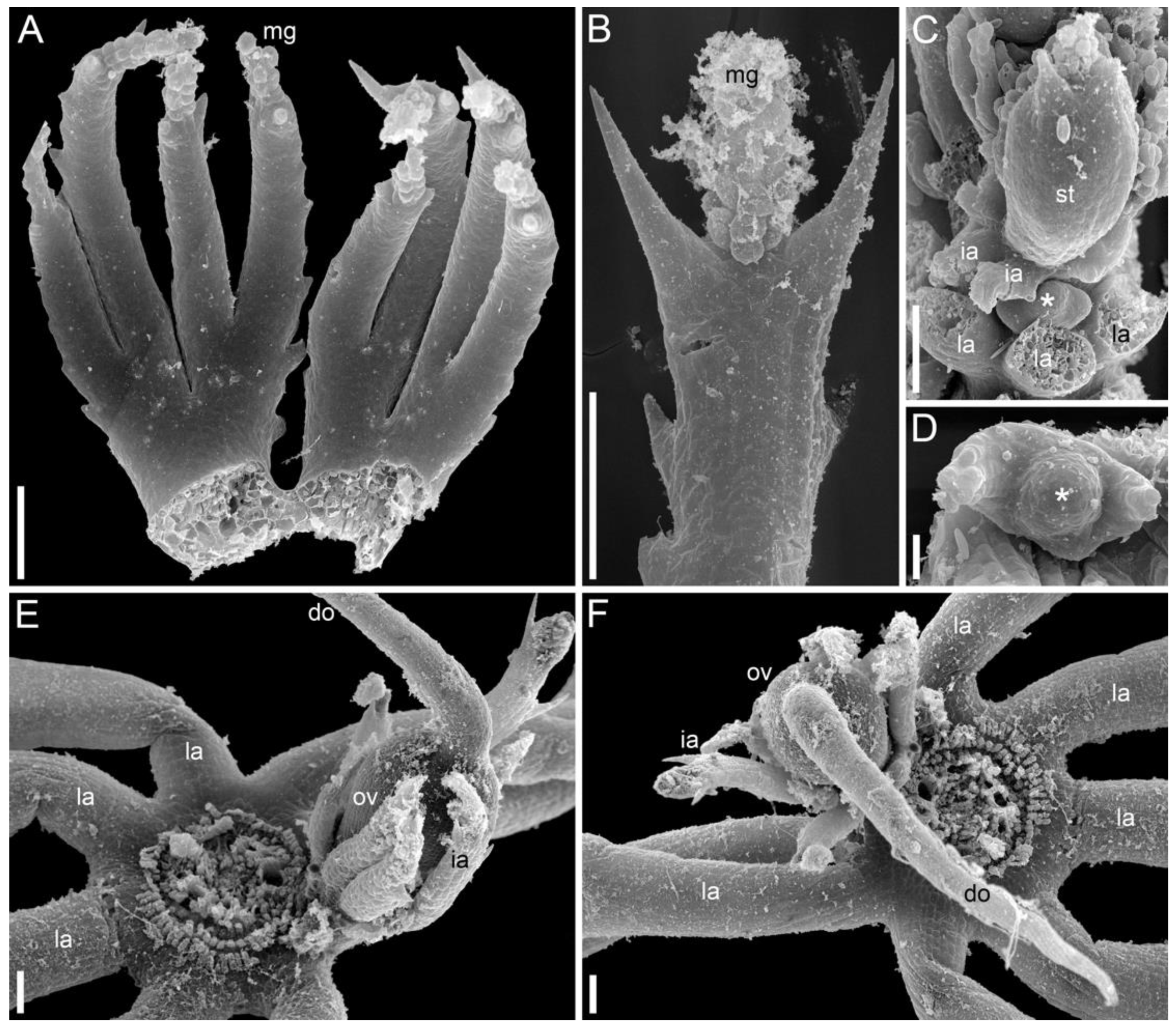 Symmetry 14 01288 g009