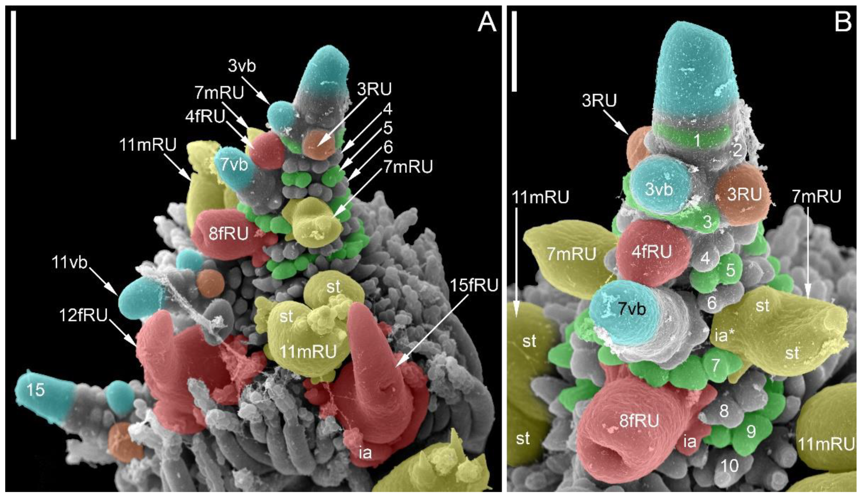 Symmetry 14 01288 g010