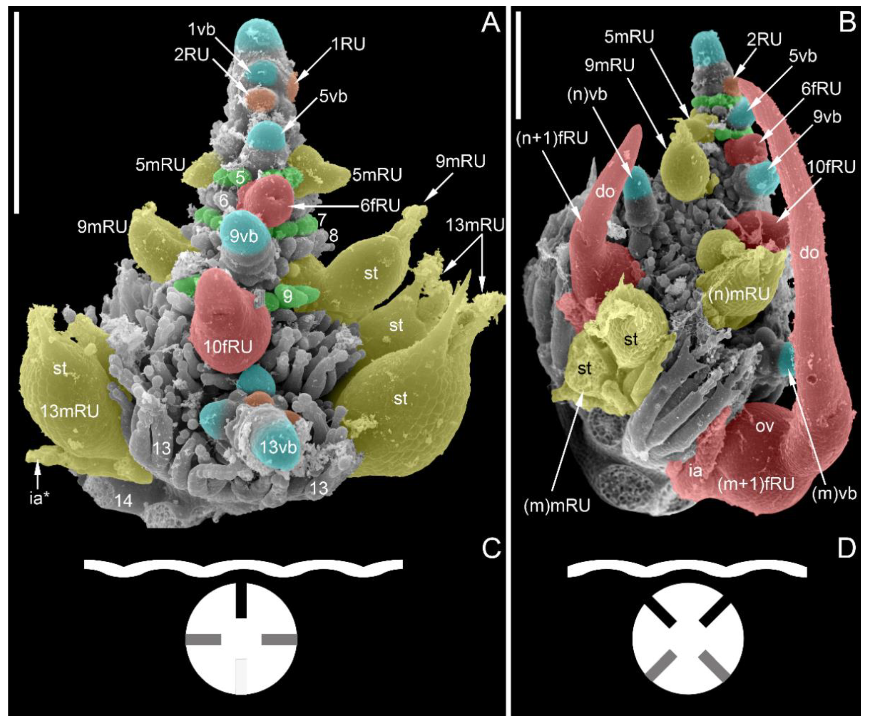 Symmetry 14 01288 g011